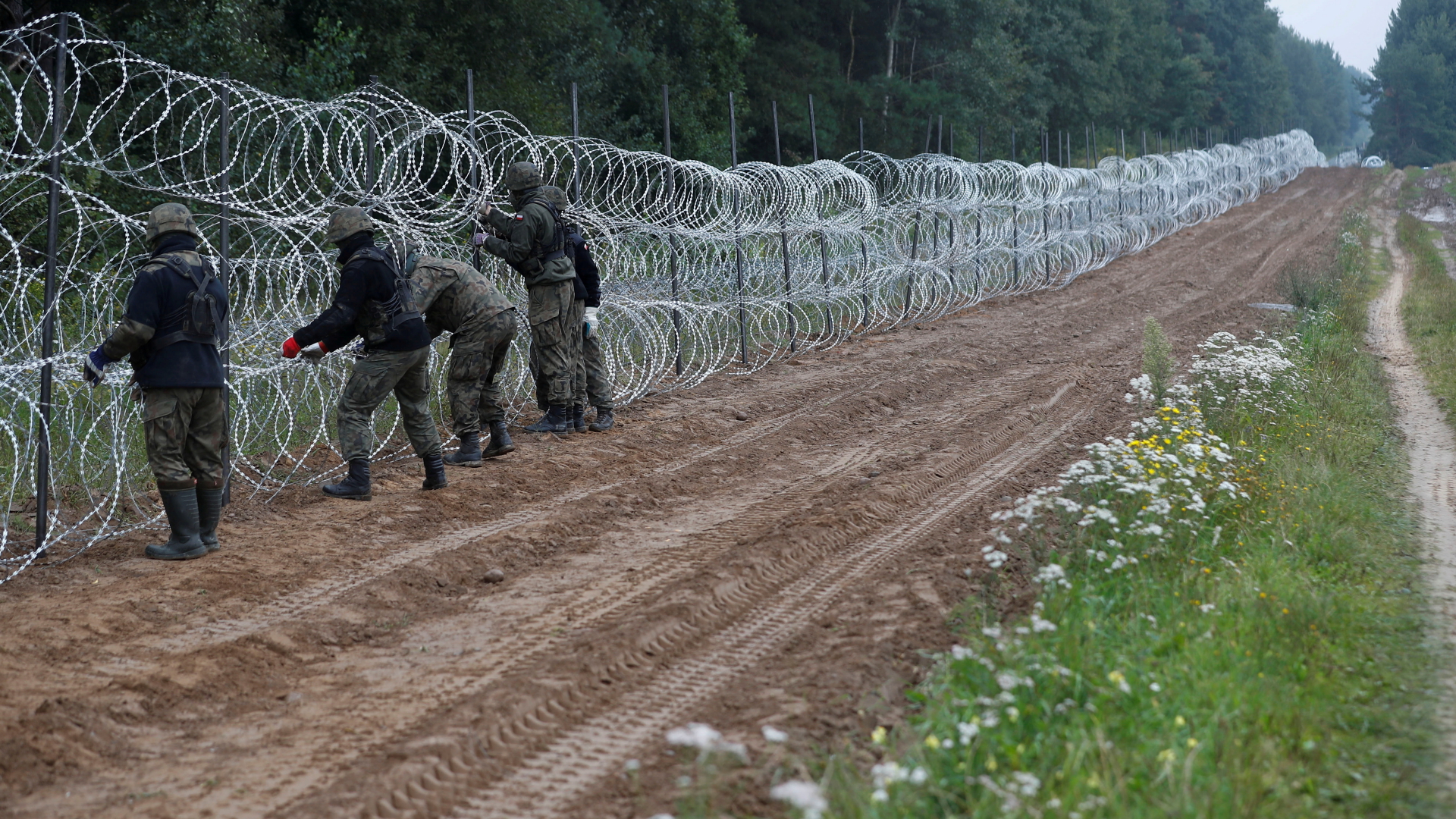 Polnische Soldaten errichten Ende August 2021 einen Stacheldrahtzaun an der Grenze zu Belarus | REUTERS
