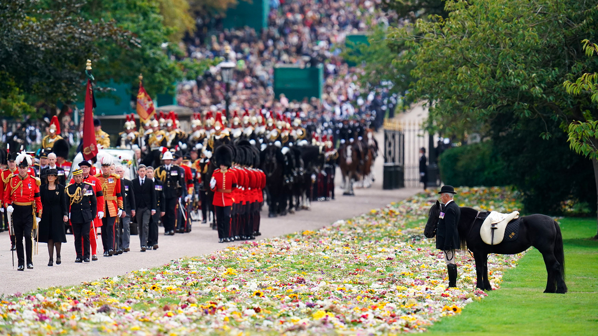 Ein Pony betrachtet den Trauerzug von Queen Elizabeth II. | picture alliance / ASSOCIATED PR