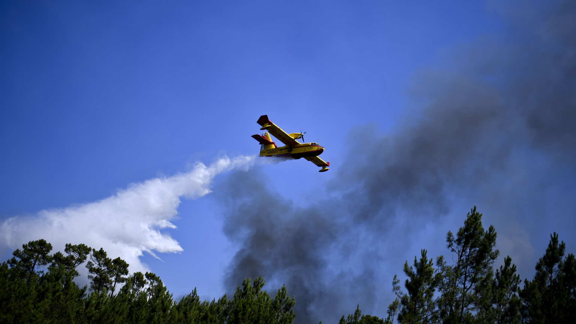 Ein Flugzeug versucht, die Flammen aus der Luft zu löschen. | AFP