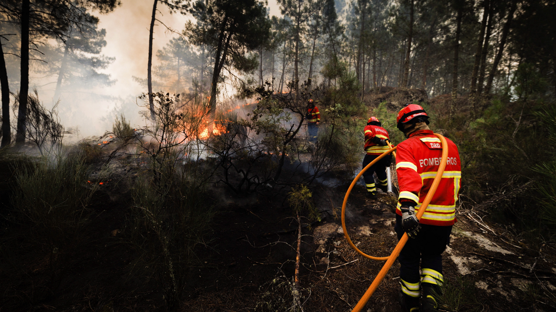 Feuerwehrleute bekämpfen einen Waldbrand in Vila Pouca de Aguiar (Portugal) | EPA