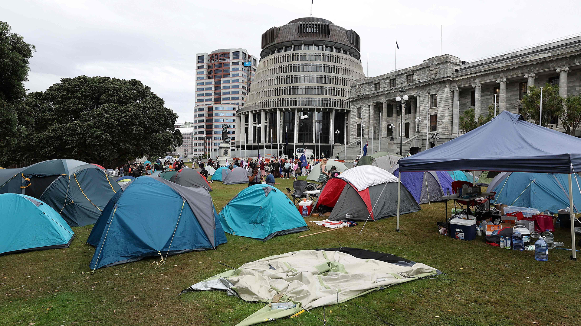 Demonstranten sitzen vor ihren Zelten auf dem Rasen des Parlaments in Wellington (Neuseeland). | AFP
