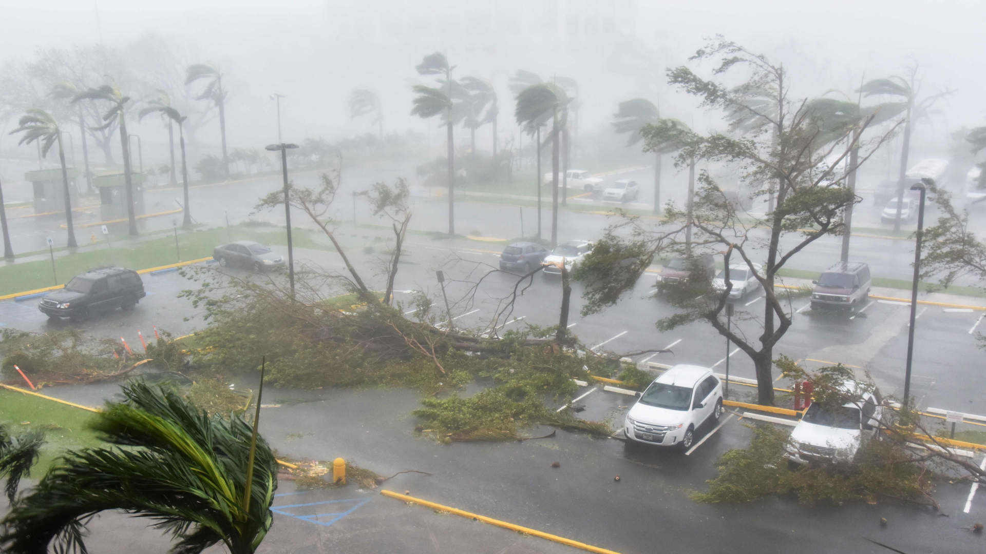 Der Sturm fegt über Puerto Rico hinweg | Bildquelle: AFP