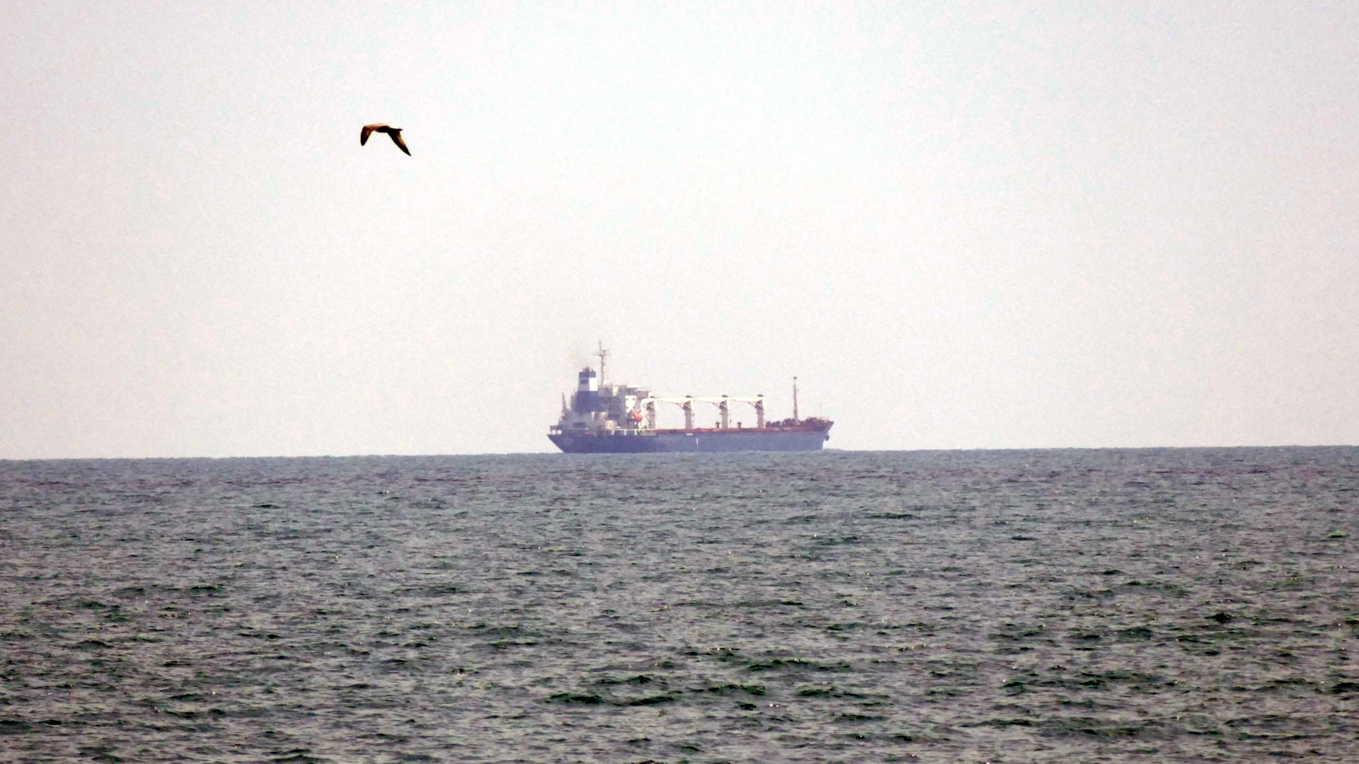 Das unter der Flagge von Sierra Leone fahrende Frachtschiff Razoni mit 26.000 Tonnen ukrainischem Getreide an Bord verlässt den Hafen in der Region Odessa. | dpa