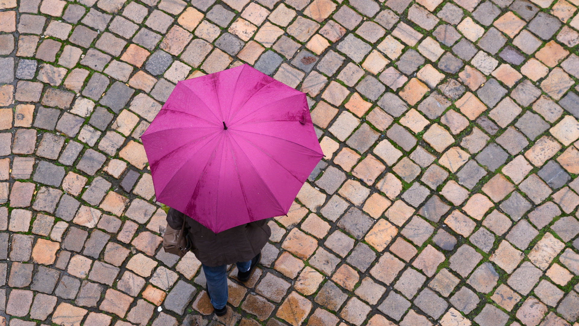 Eine Frau geht mit einem Regenschirm durch Dresden. | dpa