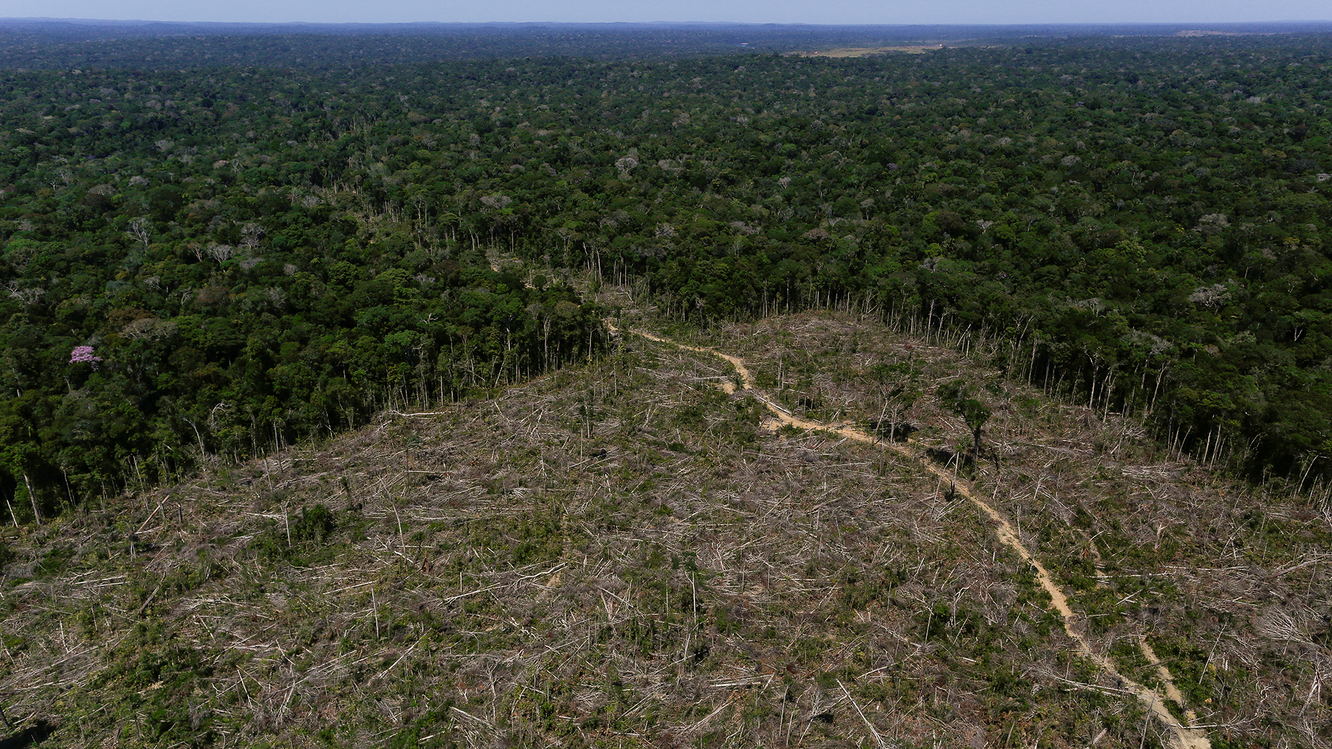 Luftaufnahme von abgeholzte Zonen im Amazonasgebiet in Brasilien | REUTERS