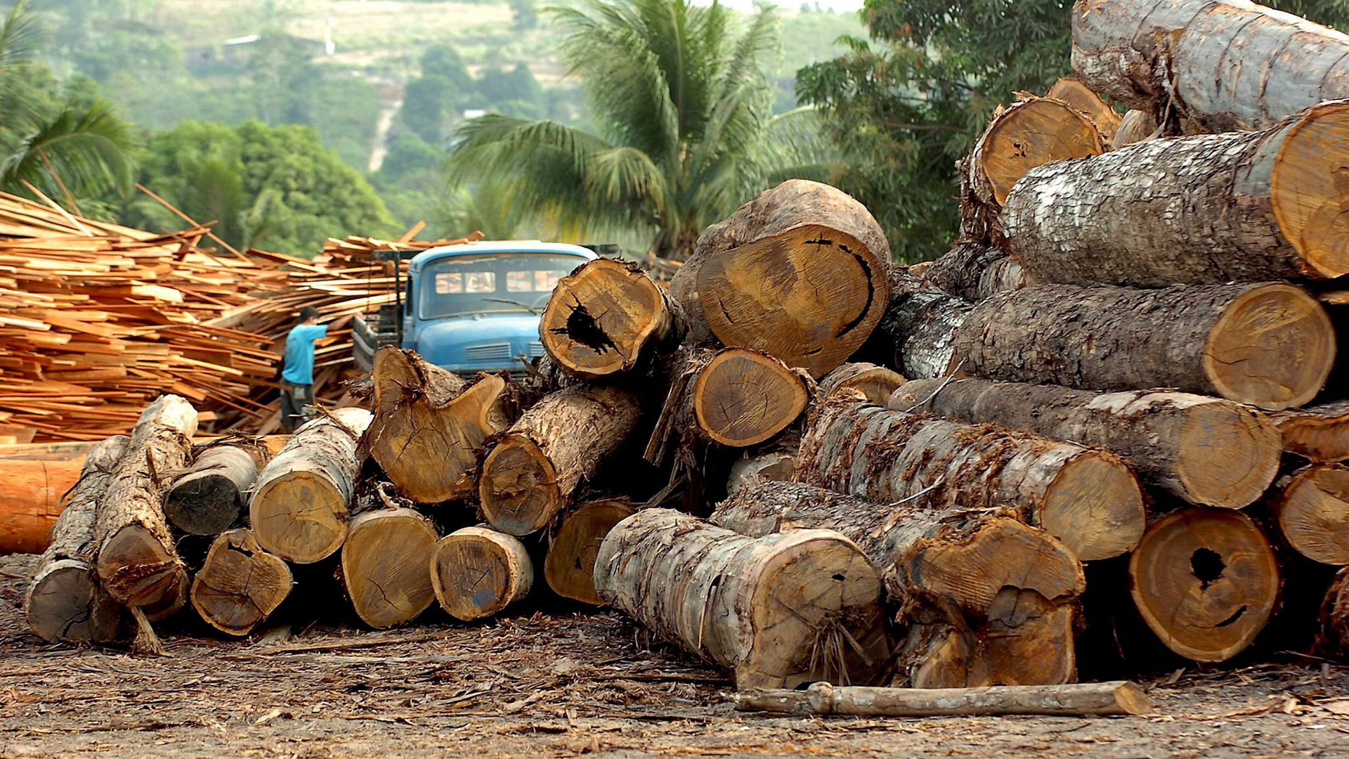 Eine Holzfabrik in Brasilien. (Archivbild: 17.03.2019)