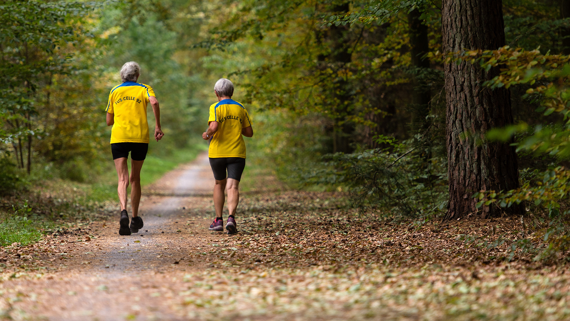 Zwei Rentner joggen durch den Wald. | dpa