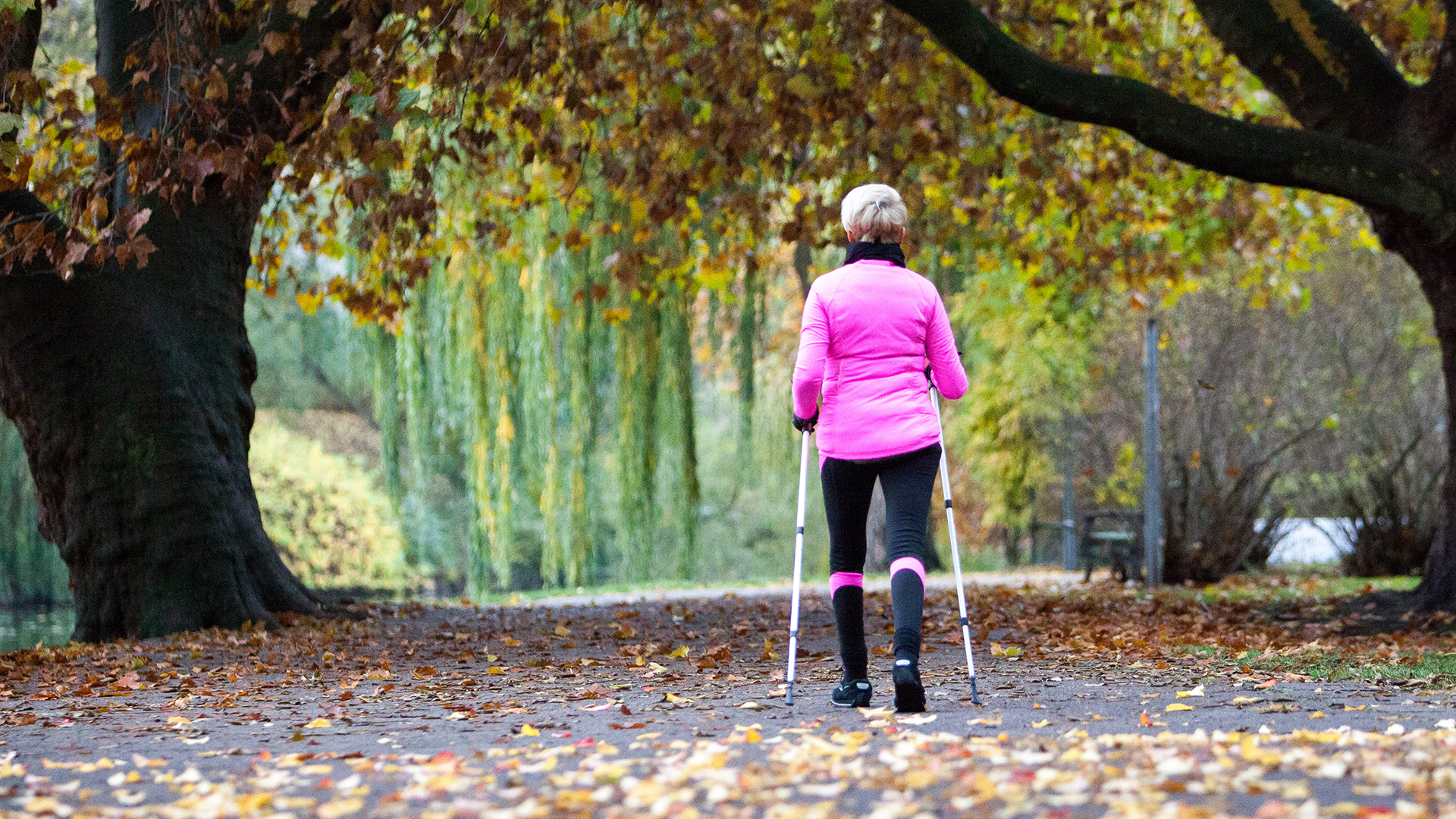 Eine Seniorin macht Nordic Walking in einem Park. | picture alliance / dpa Themendie