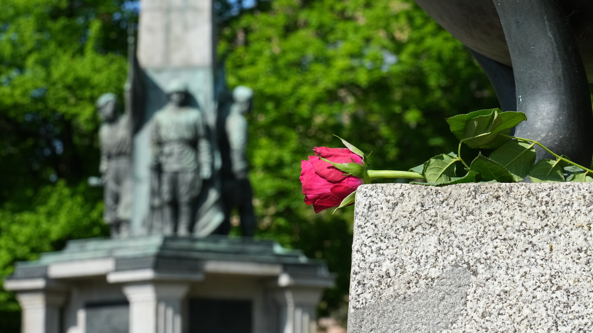 Eine Rose liegt auf dem Sowjetischen Ehrenfriedhof am Potsdamer Bassinplatz auf einem Stein unter einer Feuerschale. | dpa