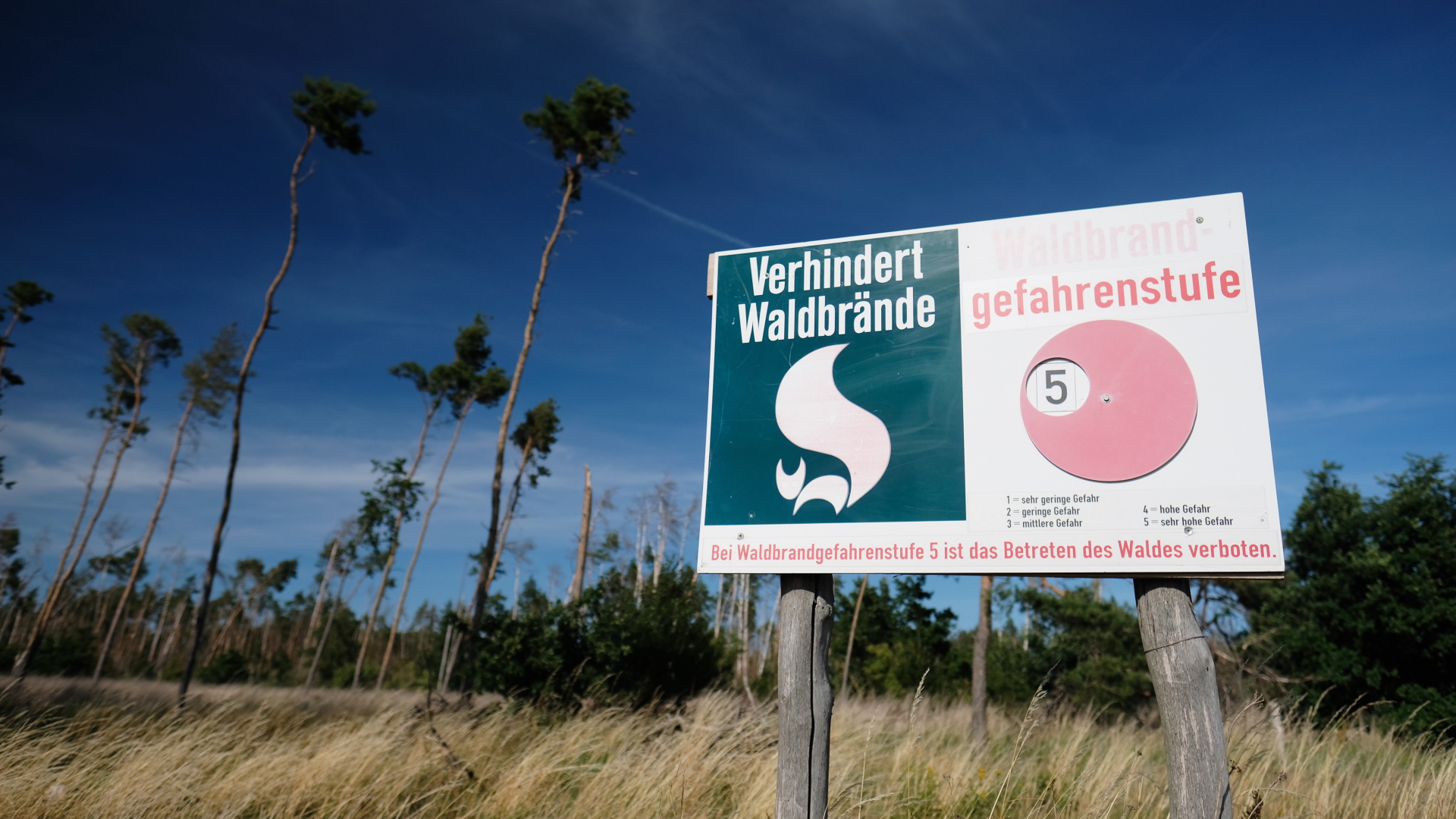 Auf einem Waldbrand-Warnschild an einem von Trockenheit geschädigten Kiefernwald in Sachsen wird die höchste Waldbrand-Gefahrstufe angezeigt.  | dpa