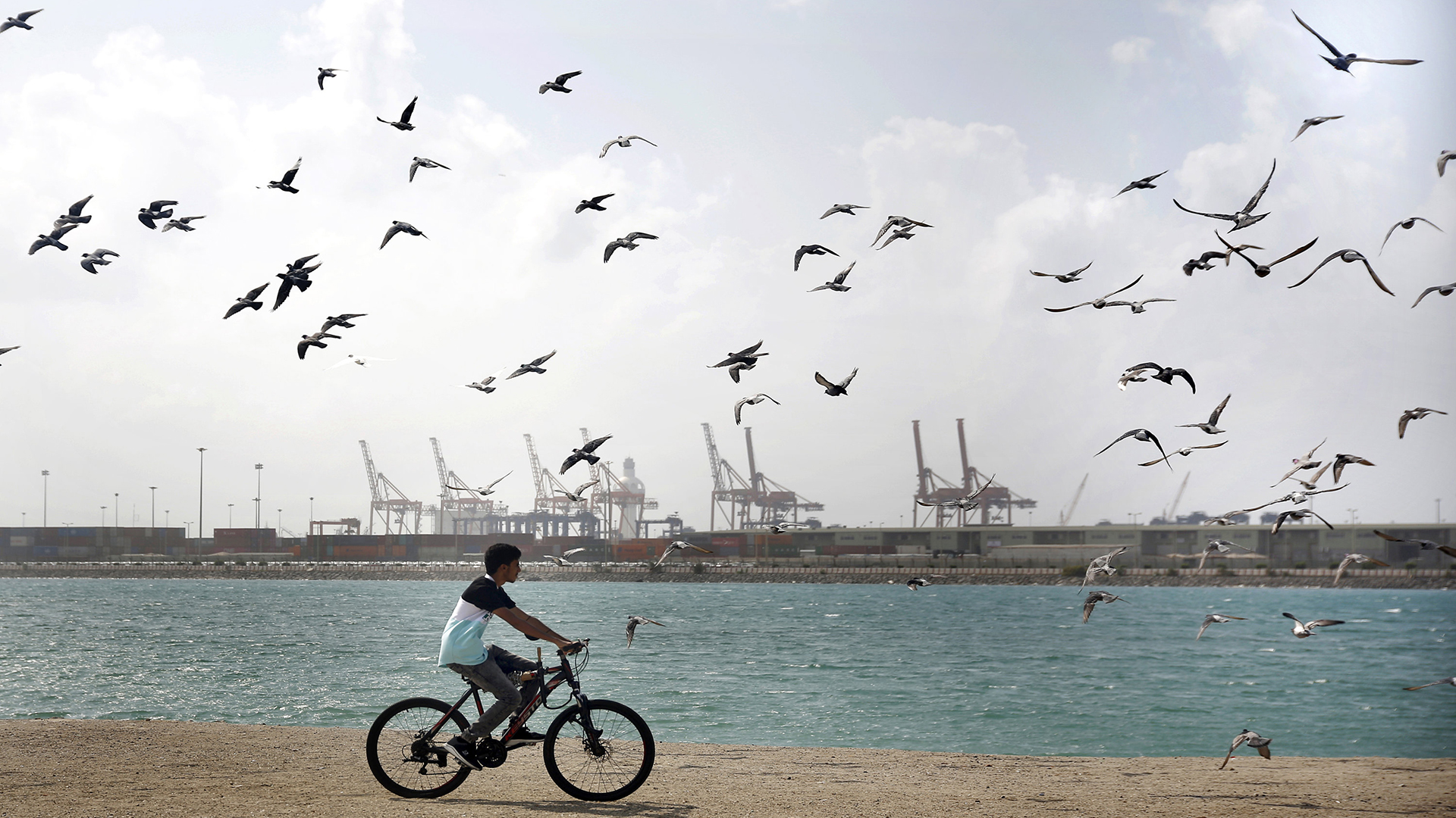 Möwen fliegen, während ein Mann mit dem Fahrrad vor dem Hafen am Roten Meer in Jiddah, Saudi-Arabien, fährt. | AP