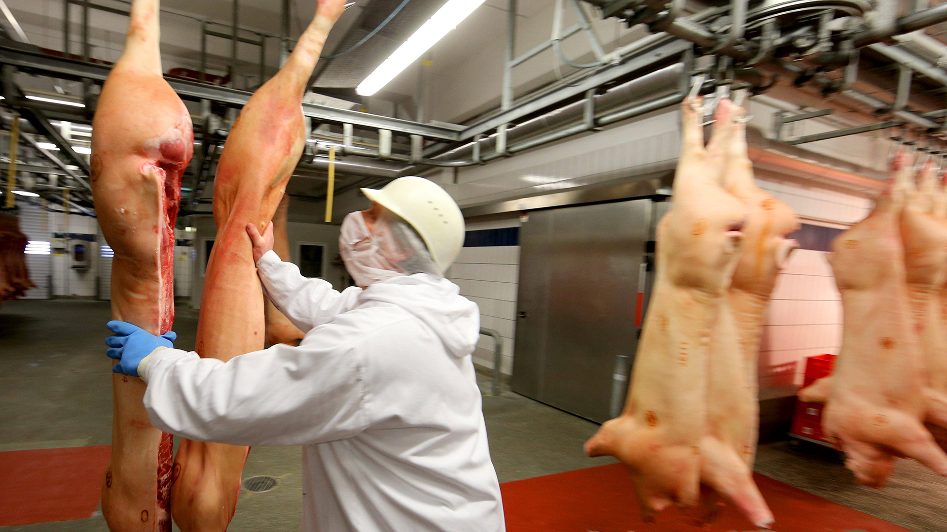 Blick in einen Fleischverarbeitenden Betrieb | imago stock&people