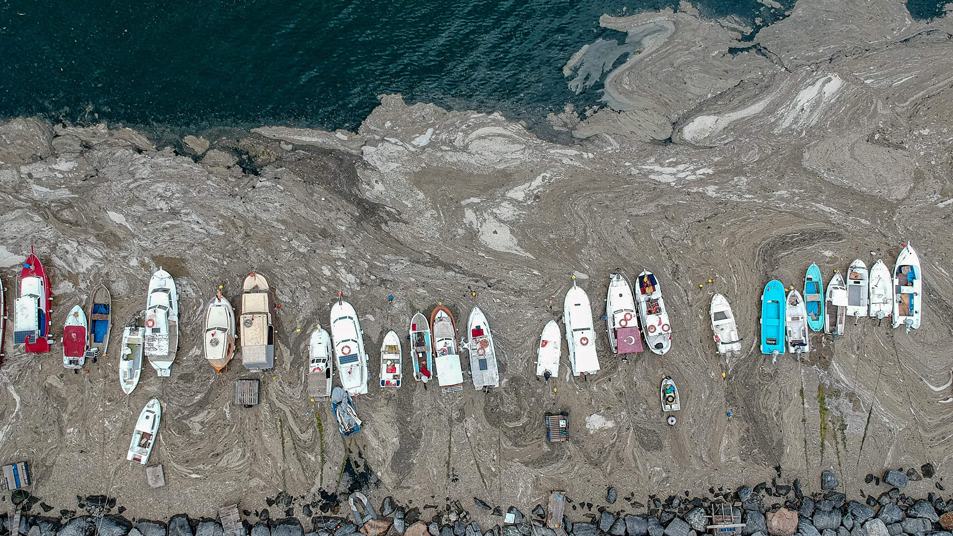Eine gallertartige Schleimschicht umgibt Boote in einem Hafen an der Küste Istanbuls. | AFP