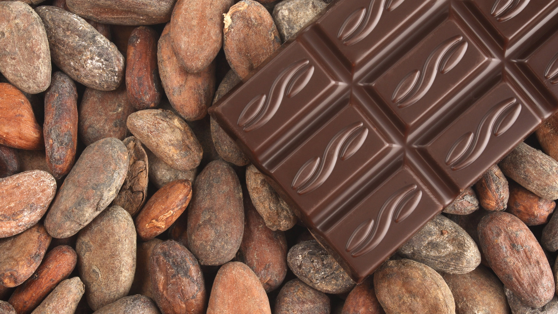 Schokoladentafel mit Kakaobohnen | 