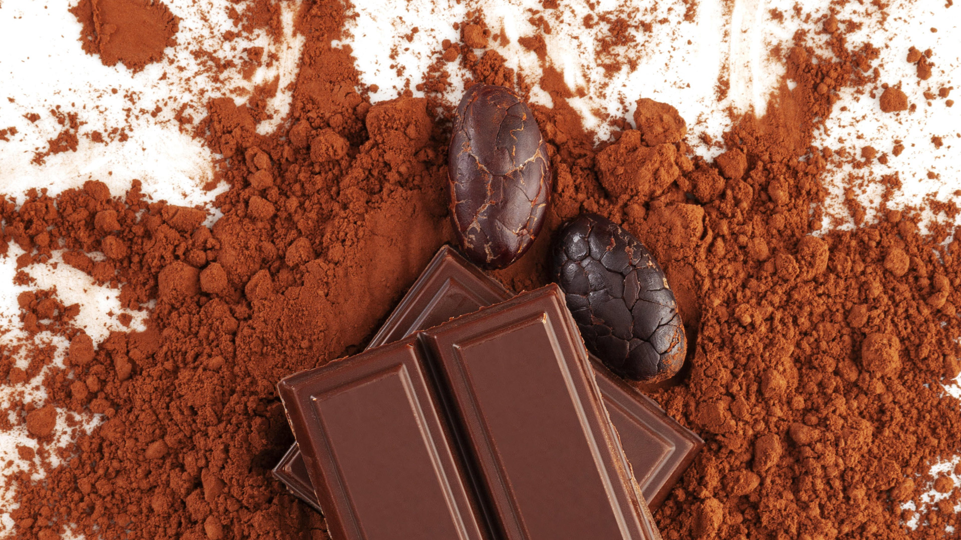 Schokoladentafel mit Kakaopulver und -bohnen