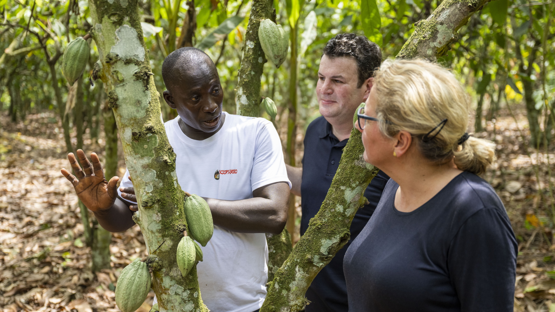 Schulze und Heil informieren sich in Agboville (Elfenbeinküste) über den Kakao-Anbau | dpa