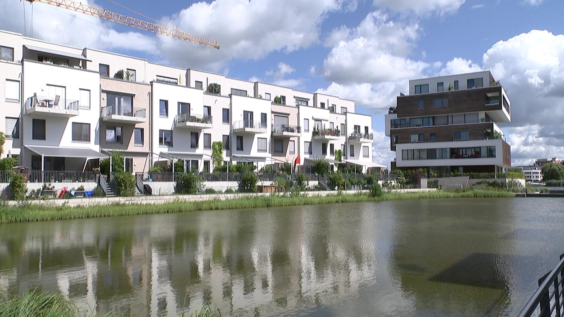 Künstliches Auffangbecken für Regenwasser in einem Berliner Neubaugebiet | rbb