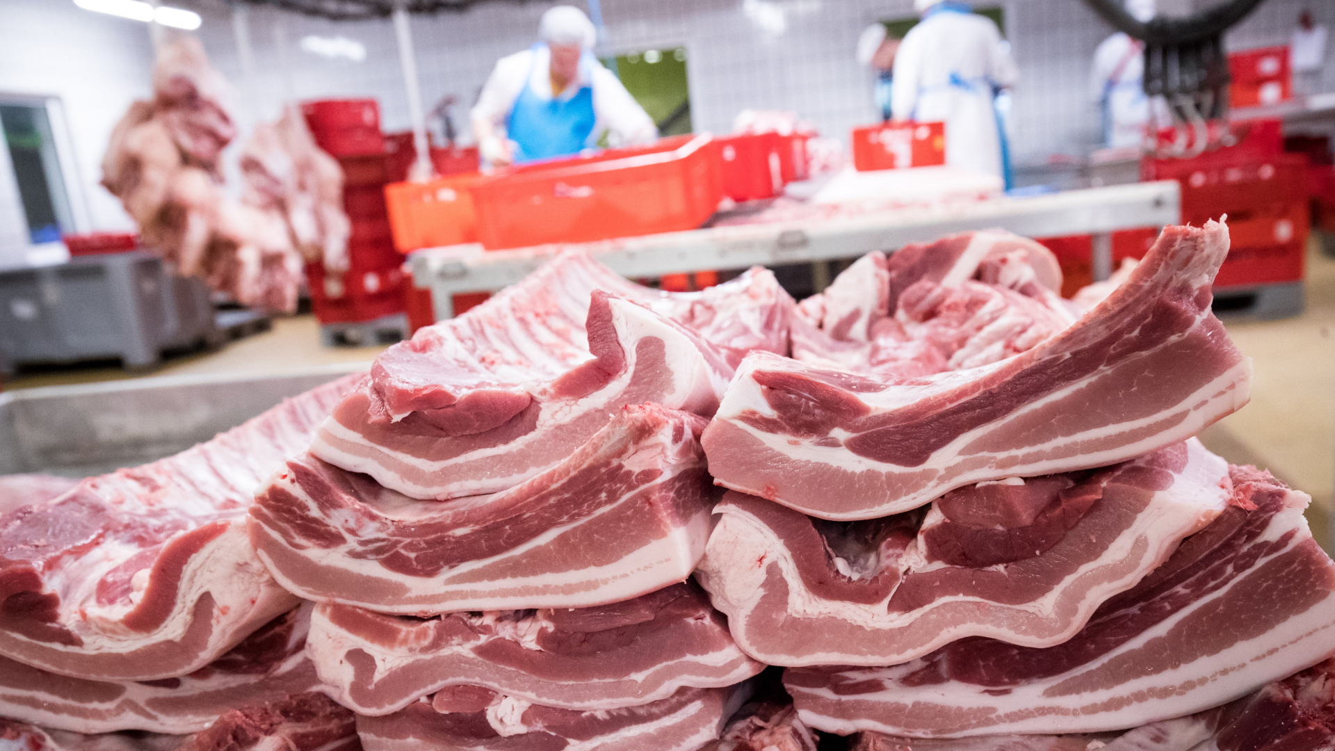 Rippen und Bauchfleisch vom Schwein werden in einem Zerlegebetrieb in Hamburg auf dem Gelände des Fleischgroßmarkts (FGH) verarbeitet (Archivbild). | dpa