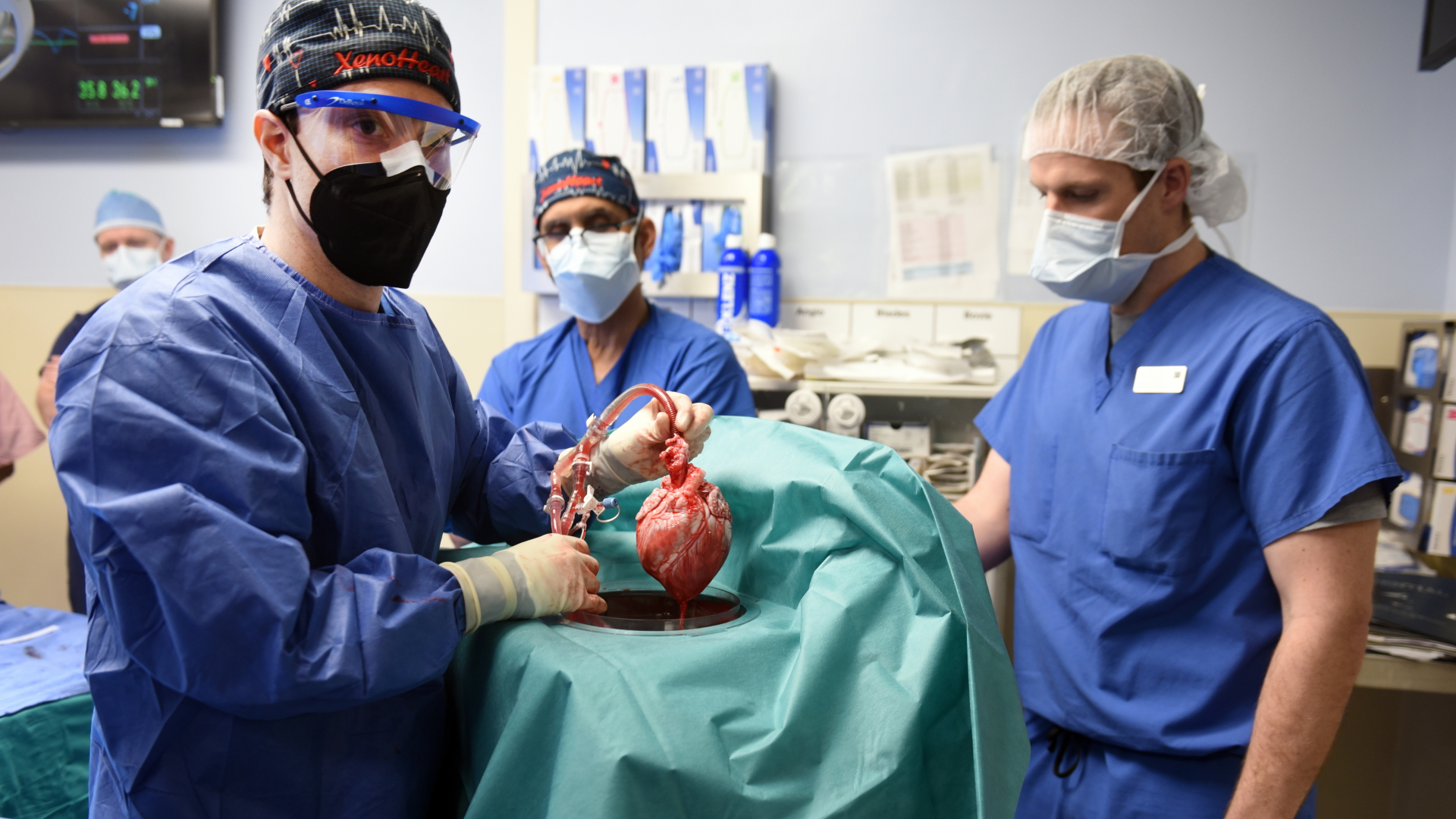 Ärzte operieren an einem Schweineherz, das einen menschlichen Patienten eingesetzt wird. | dpa
