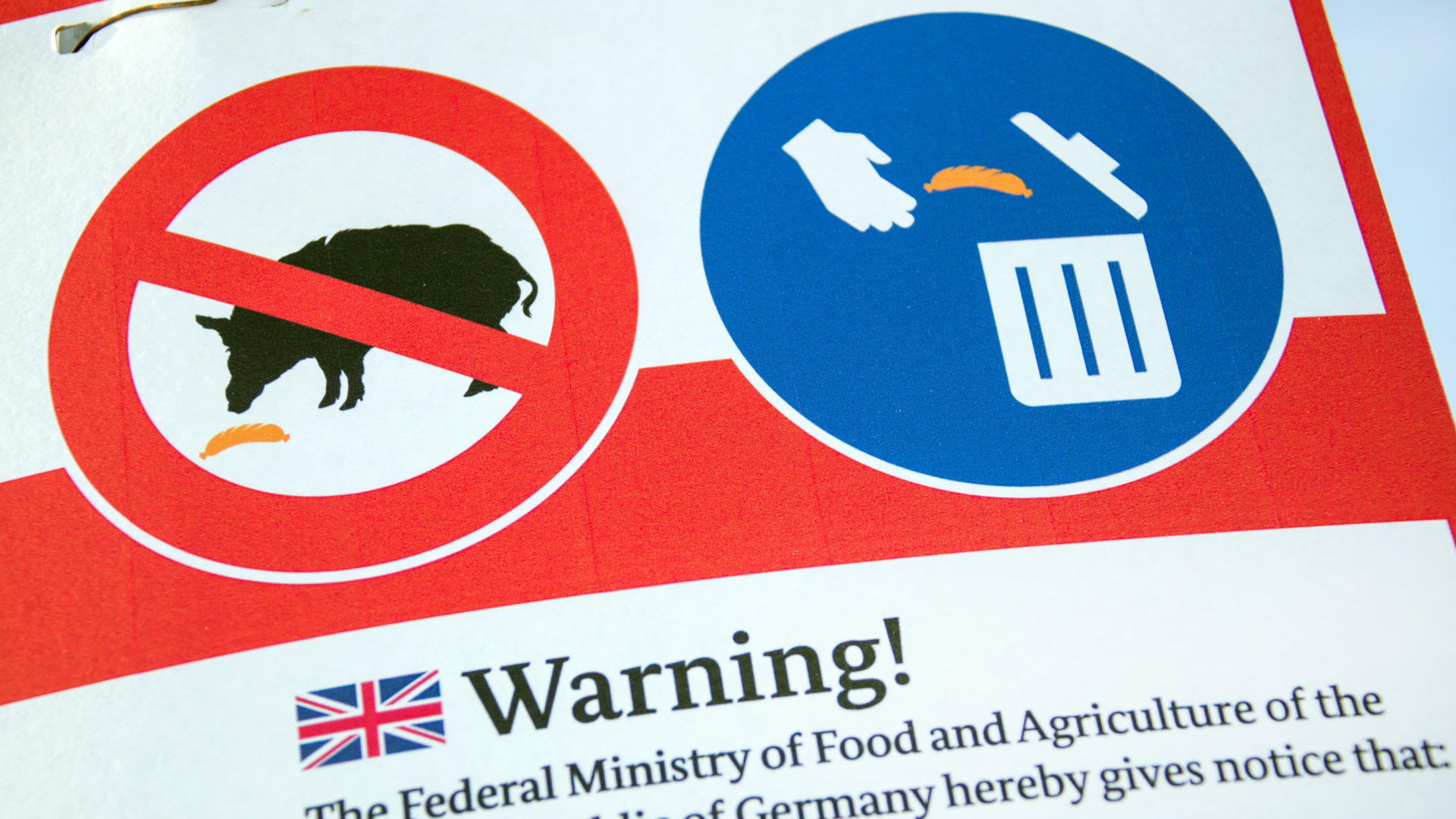 Eine Tafel informiert in Mecklenburg-Vorpommern über Maßnahmen gegen die Ausbreitung der Schweinepest (Archivbild vom 27.02.2018)