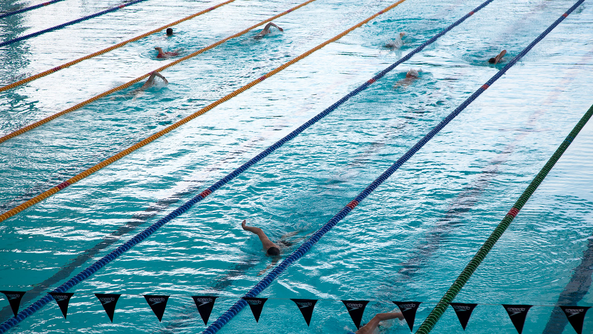Schwimmer trainieren im Schwimmbecken  | picture alliance / VisualEyze