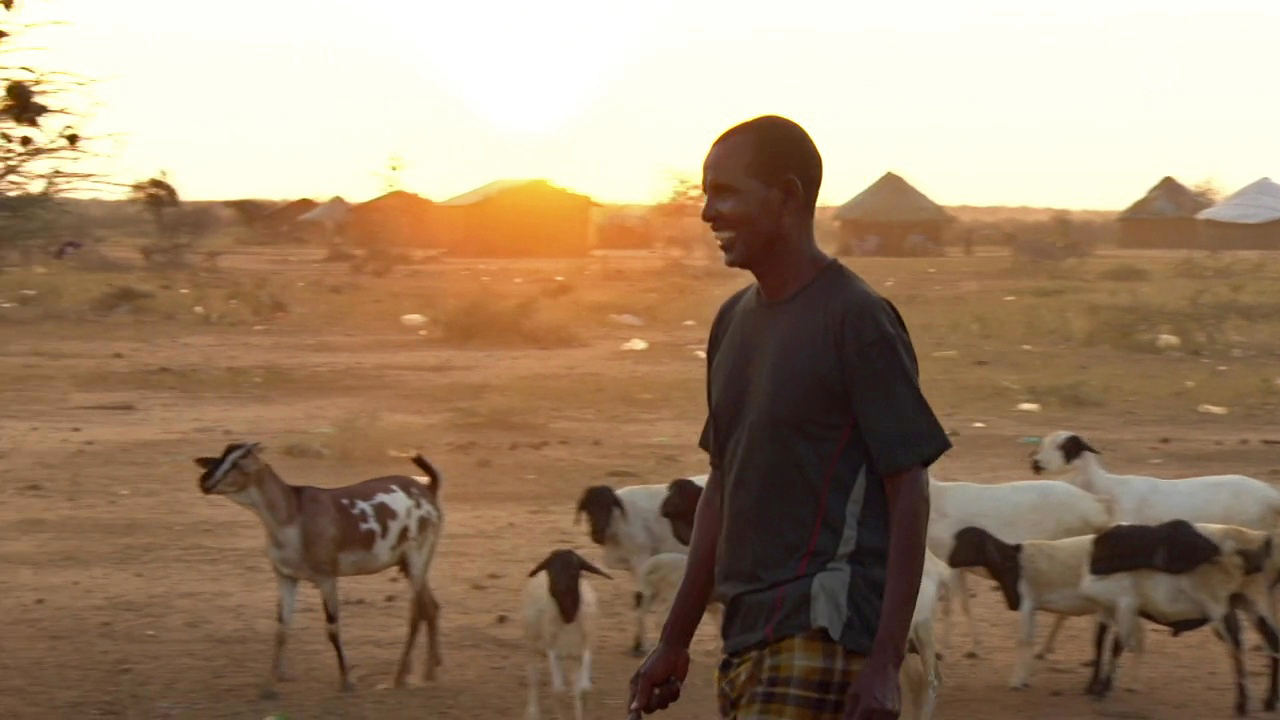 Der kenianische Hirte Roba Guyo mit einigen seiner Ziegen. | Caroline Hoffmann, WDR