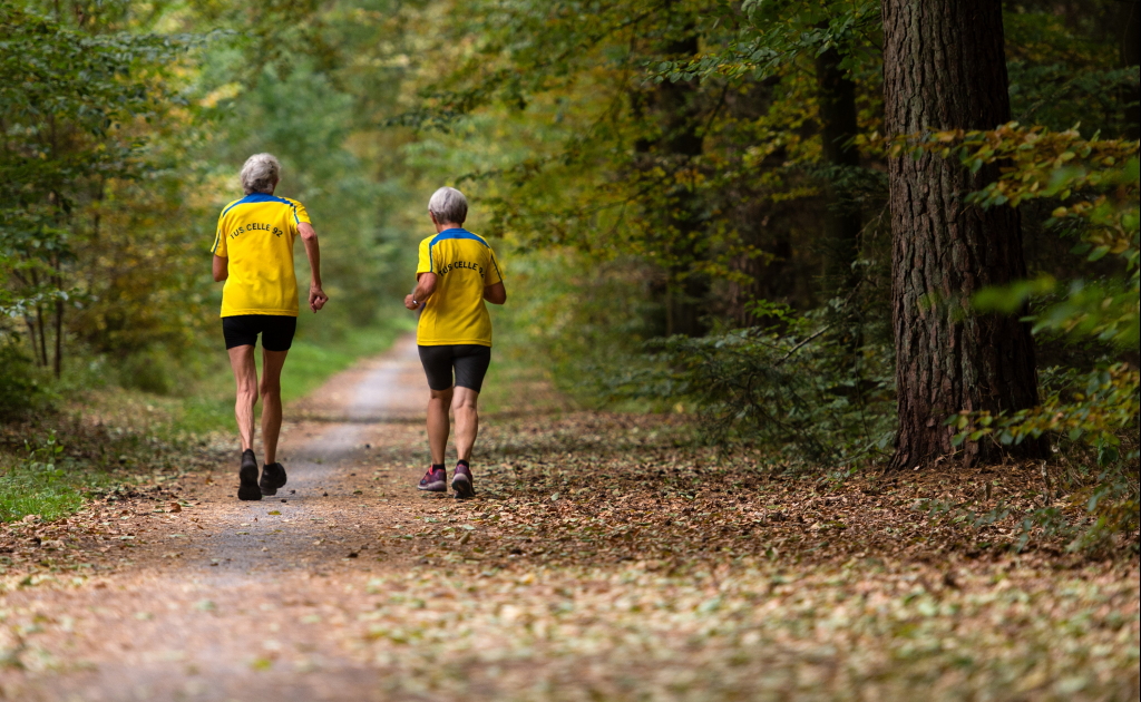Senioren beim Jogging im Wald | dpa