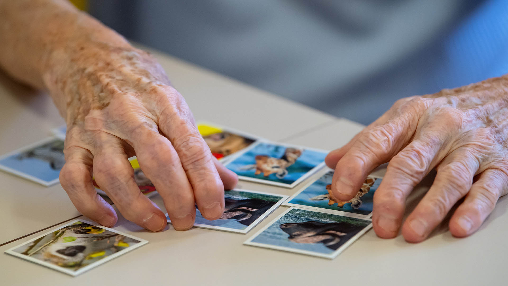 Eine Seniorin spielt auf einer Pflegestation das Spiel "Memory". | picture alliance/dpa