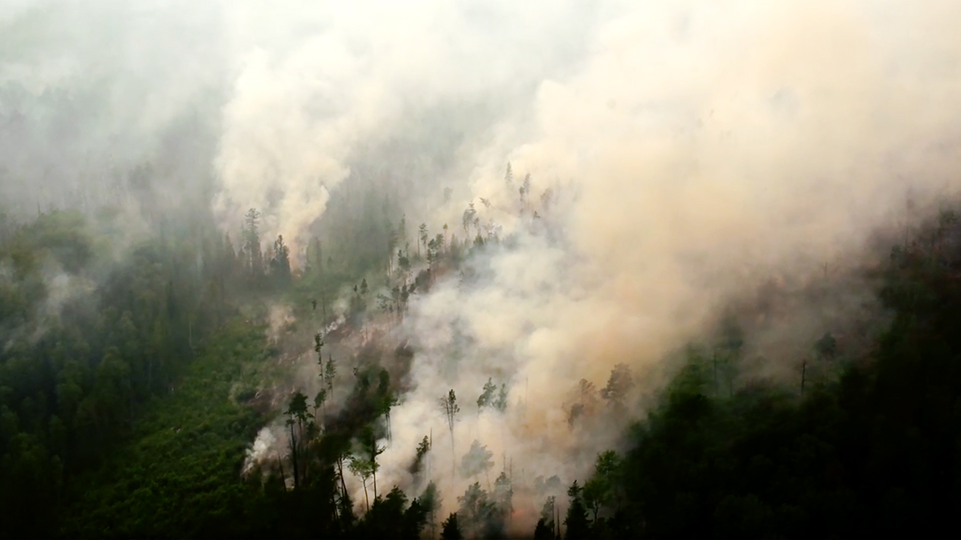 Ein Waldbrand in der Region Krasnojarsk in Sibirien | dpa