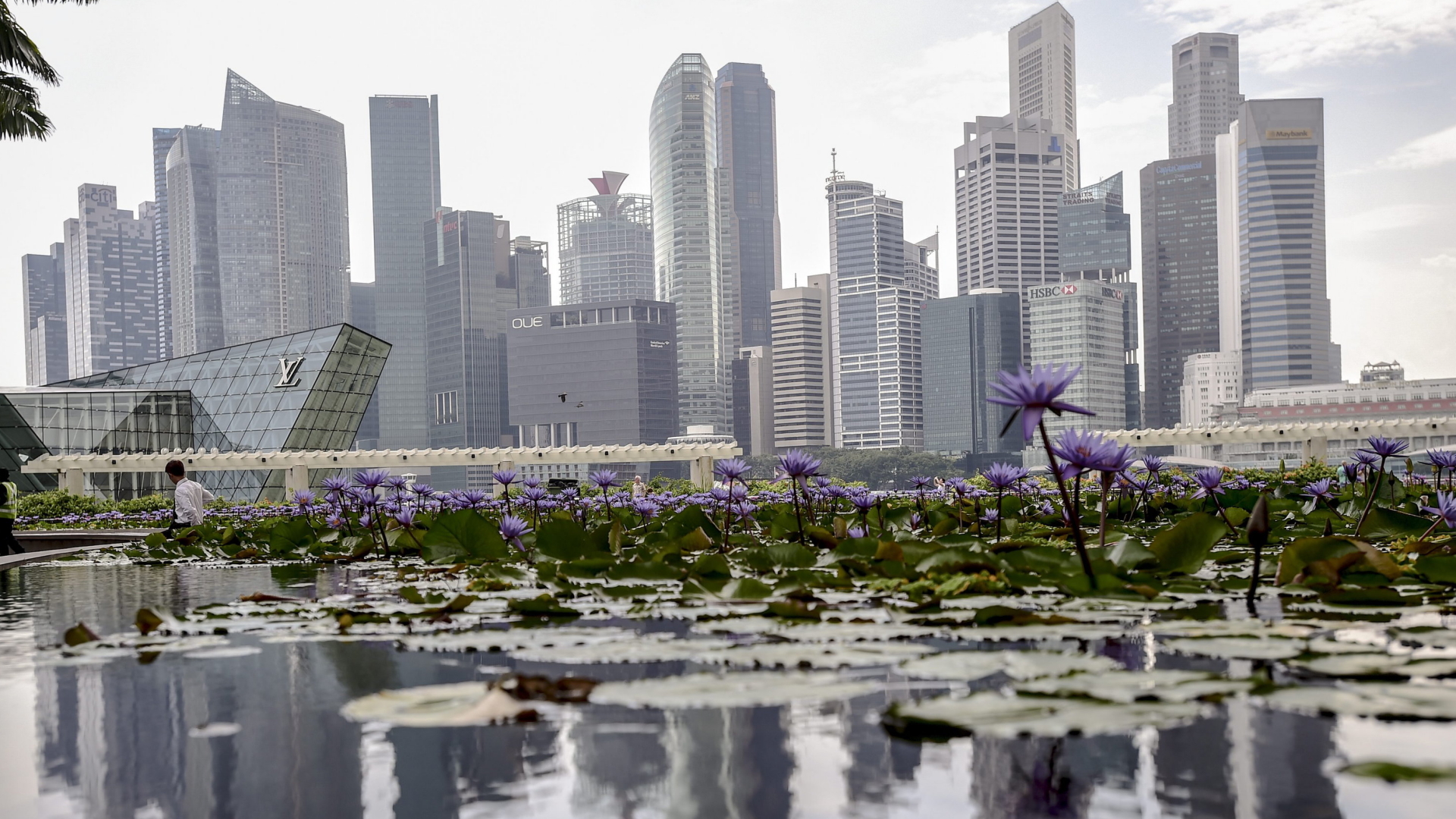 Die Skyline von Singapur. | dpa