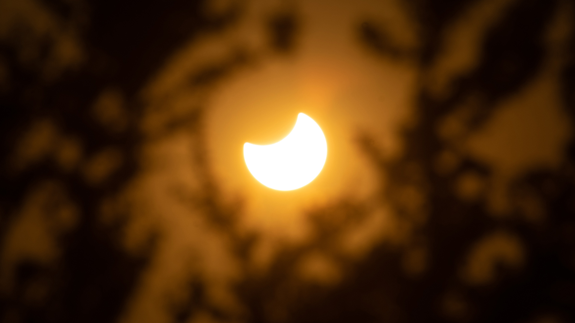 Eclipse solar parcial: cuando el día oscurece repentinamente