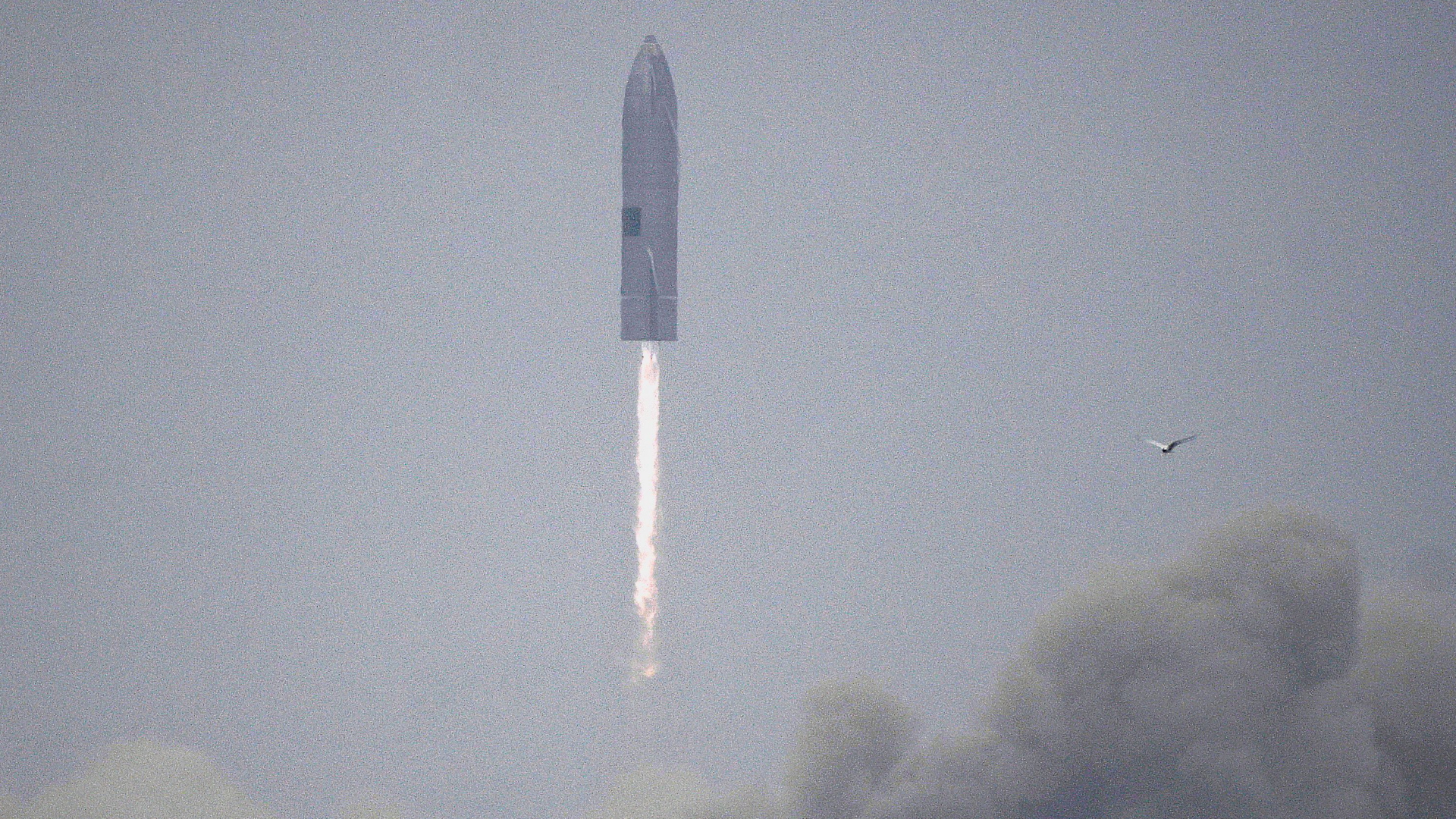 Der Prototyp der Starship-Rakete von SpaceX beim erfolgreichen Testflug | REUTERS