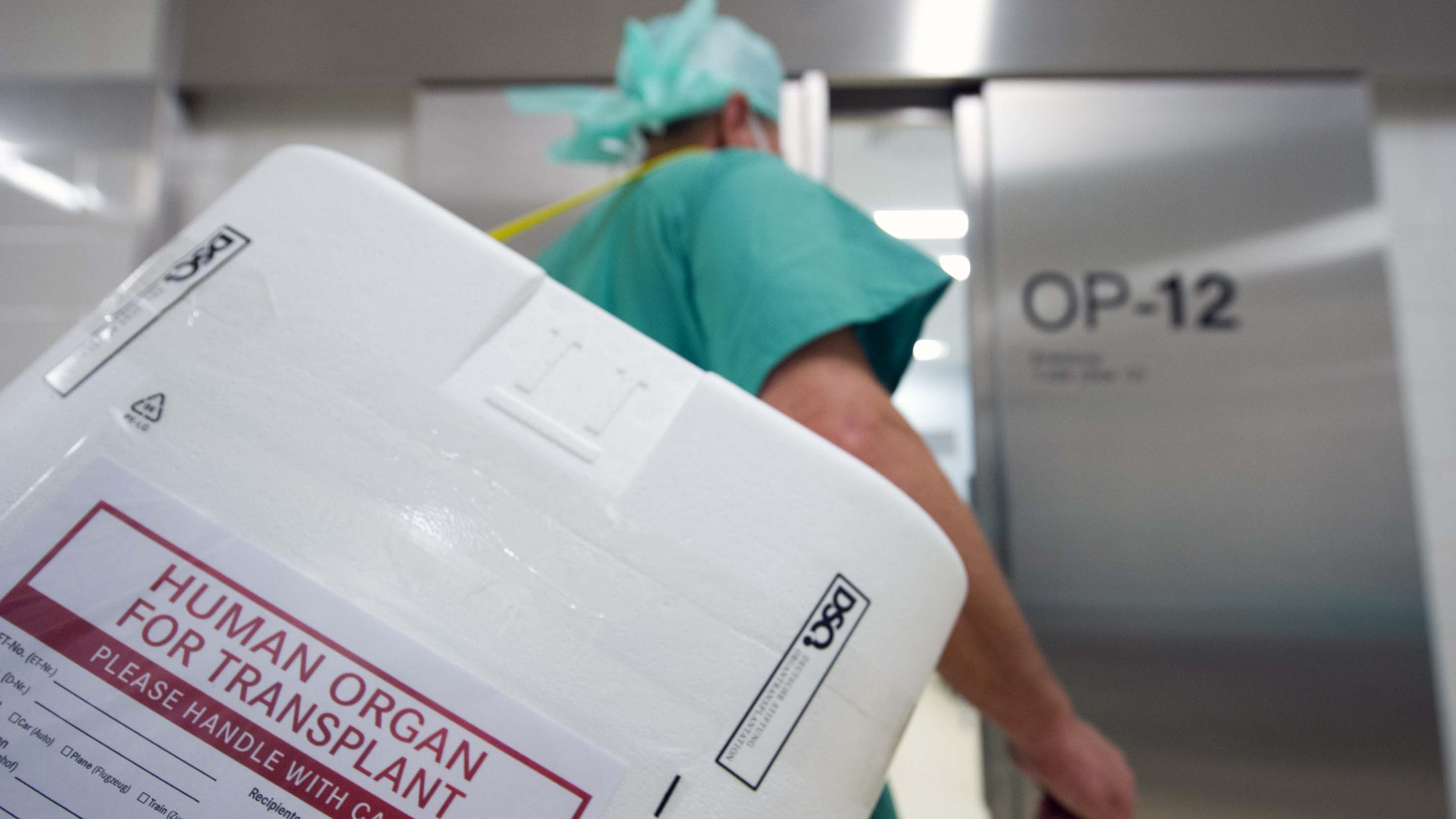 Behälter für den Transport von menschlichen Organen | dpa