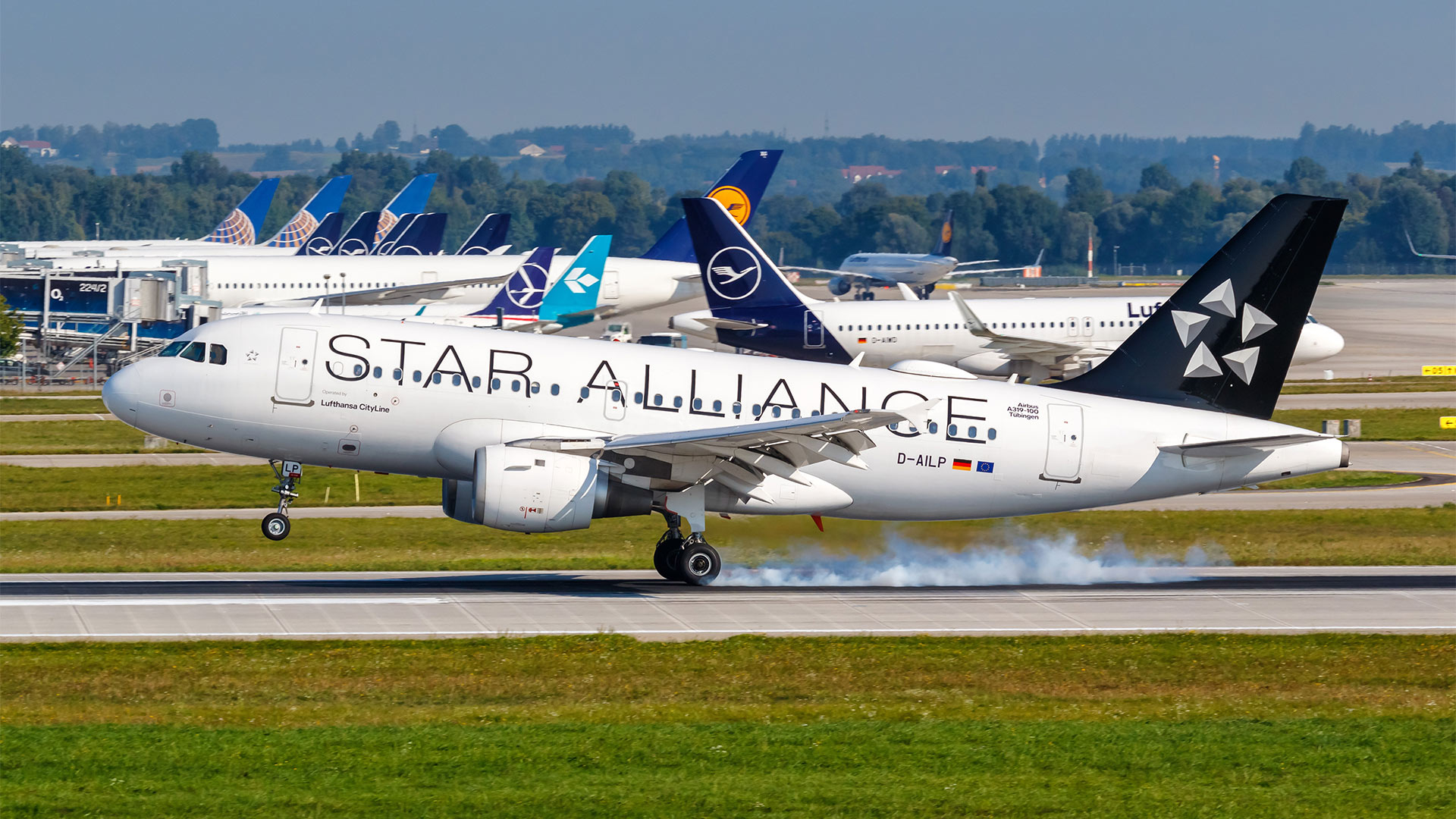 Lufthansa Flugzeug mit Star Alliance Logo | picture alliance / Markus Mainka