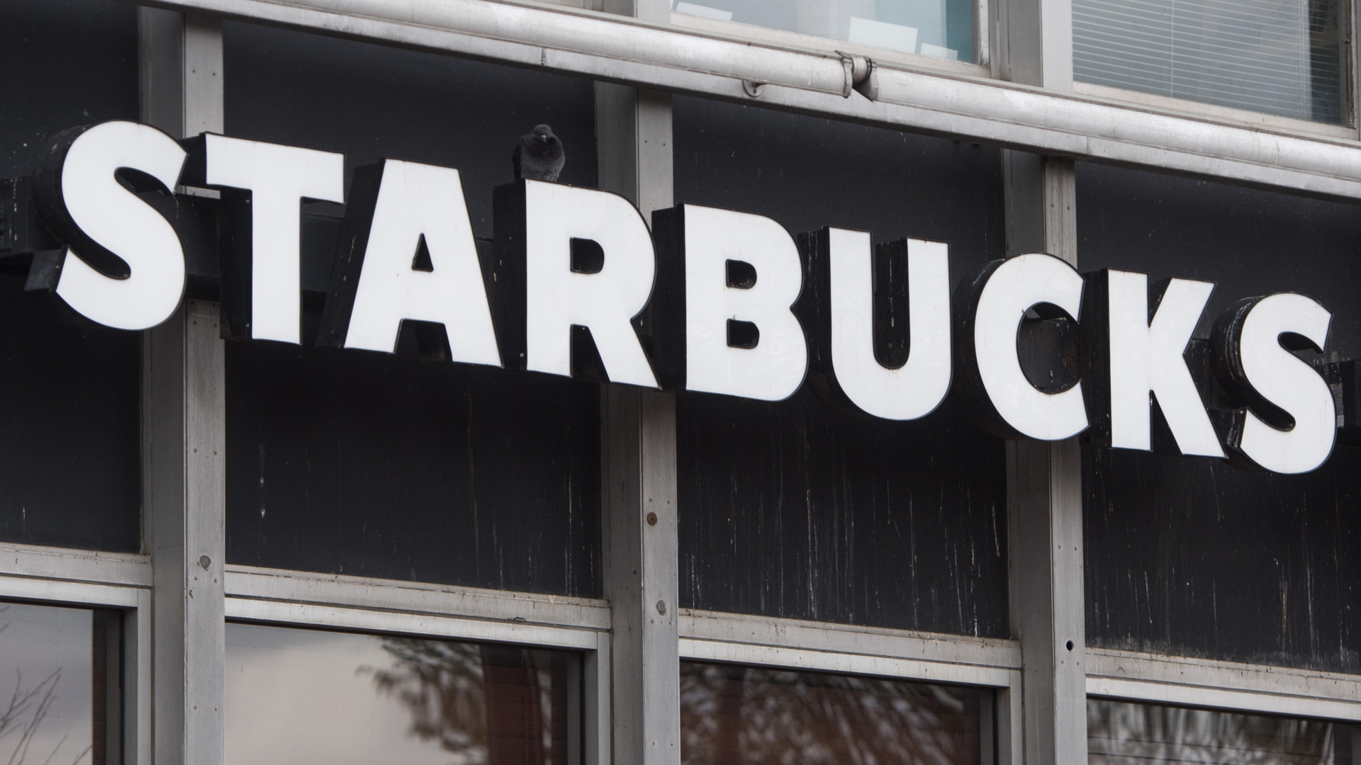 Starbucks-Aufschrift an einer Filiale in Washington | AFP