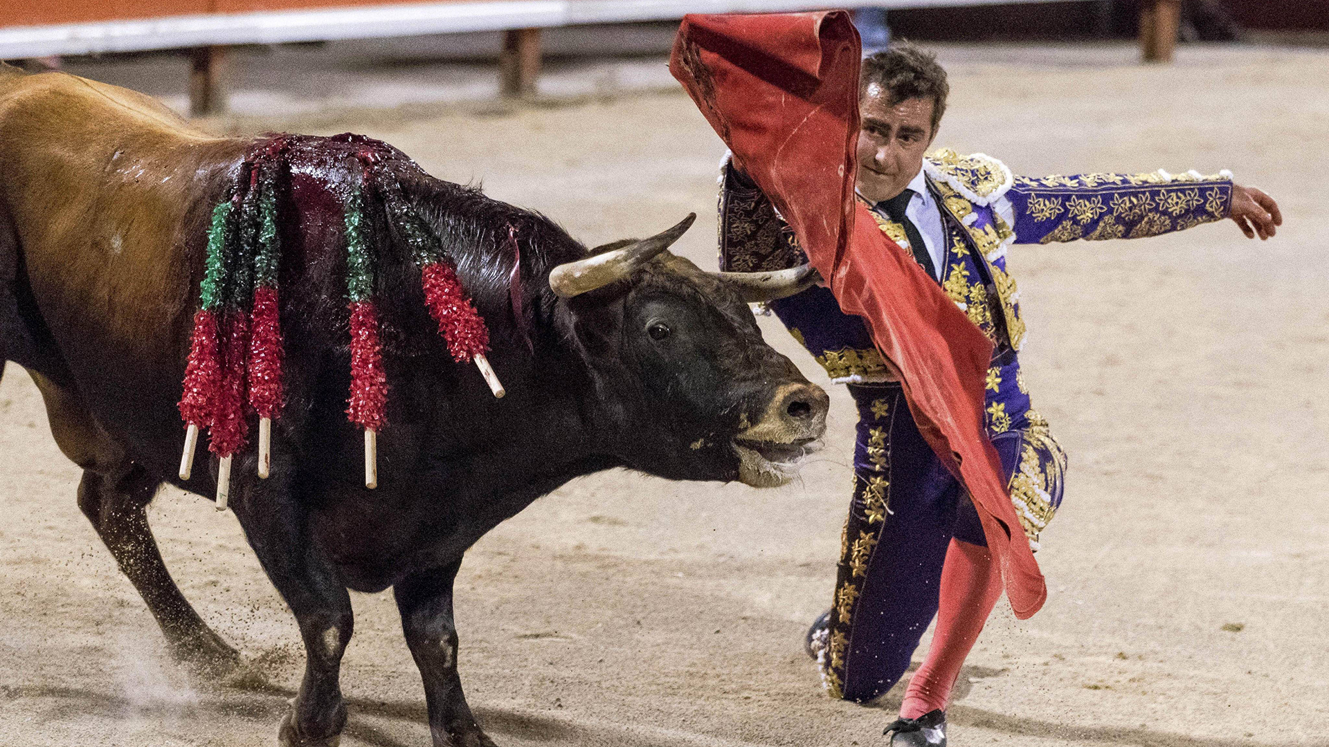 Der spanische Stierkämpfer David Fandila El Fandi | imago images / Agencia EFE