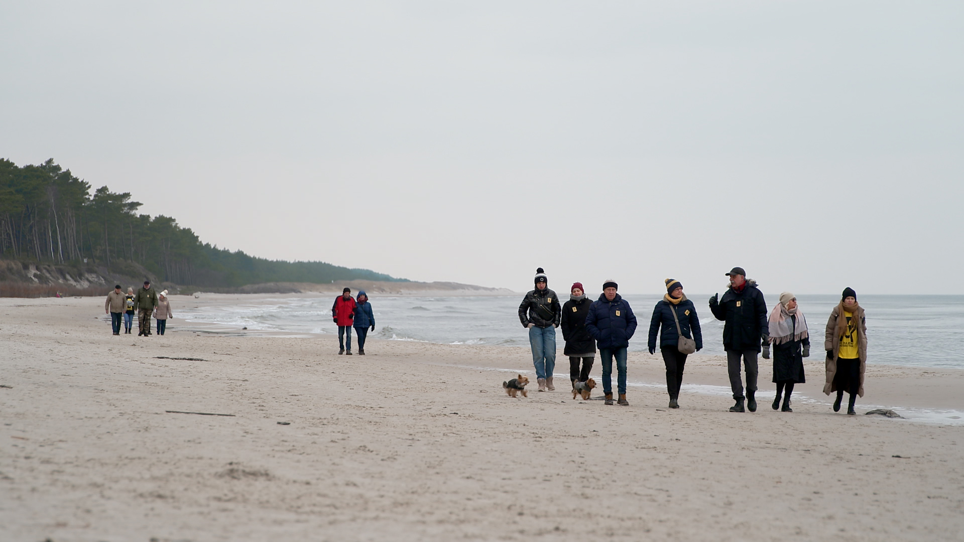 Mitglieder der Bürgerinitiative "Ostsee-SOS" gehen über einen Strand bei Choszewo (Polen). | Kristin Joachim