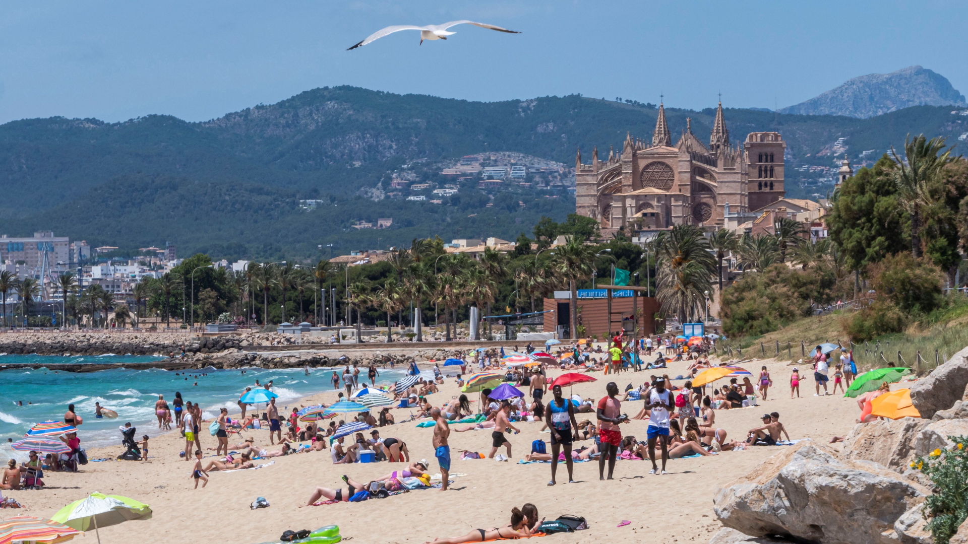Strand bei Palma de Mallorca | CATI CLADERA/EPA-EFE/Shutterstoc