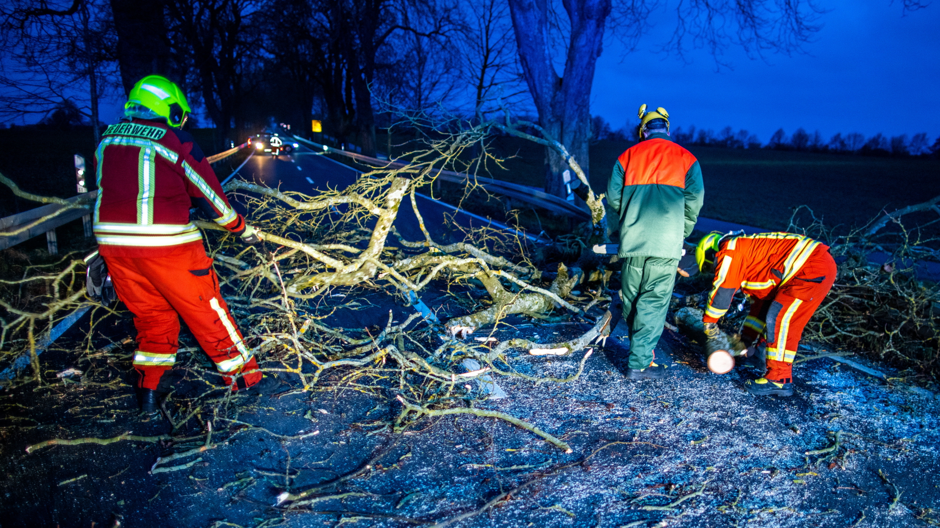 Einsatzkräfte der Feuerwehr räumen einen umgestürzten Baum auf der Bundesstraße B 208 weg. | dpa