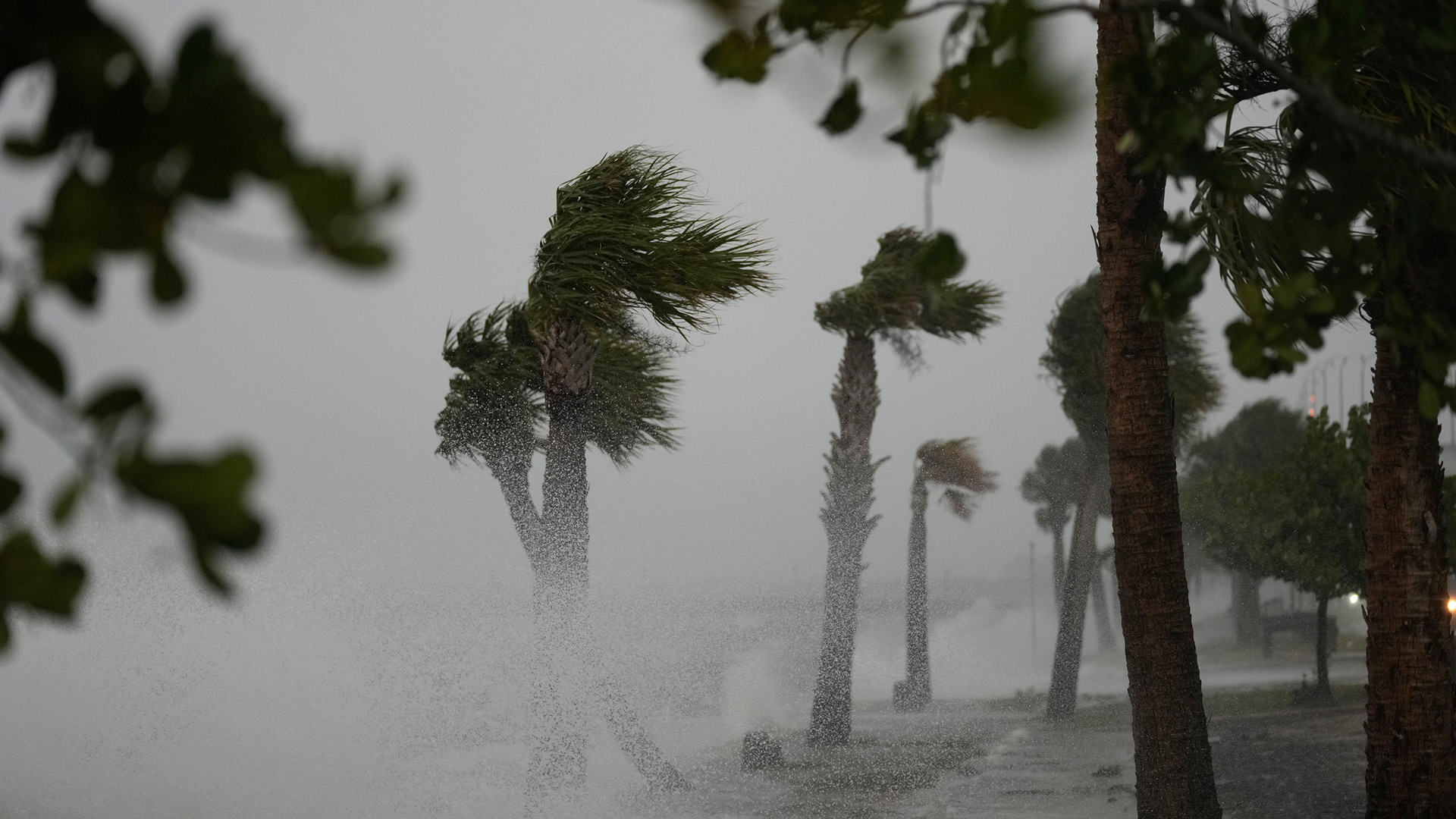 Wellen schlagen ans Ufer in Florida - Bäume biegen sich im Sturm | AP