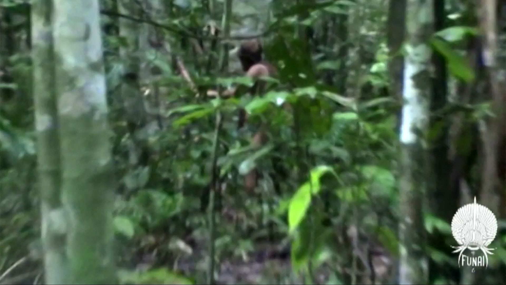 Ein Ausschnitt aus einem Video, das von der brasilianischen Stiftung FUNAI veröffentlicht wurde, zeigt einen Stammesangehörigen, der als letzter bekannter Überlebender einer isolierten Amazonasgemeinschaft in Brasilien gilt und als "Tanaru" bekannt ist. | AFP