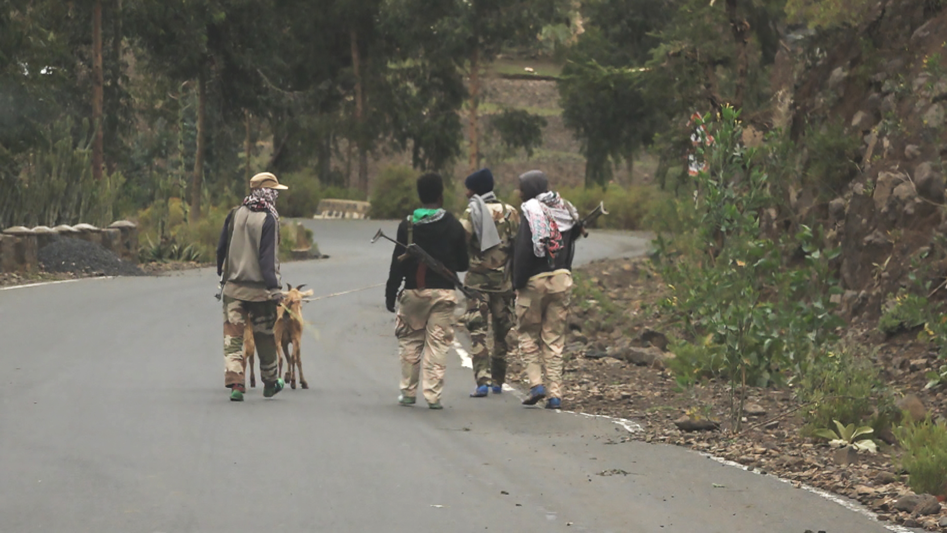 Bewaffnete Kämpfer gehen zu Fuß eine Straße in Tigray entlang. | Norbert Hahn