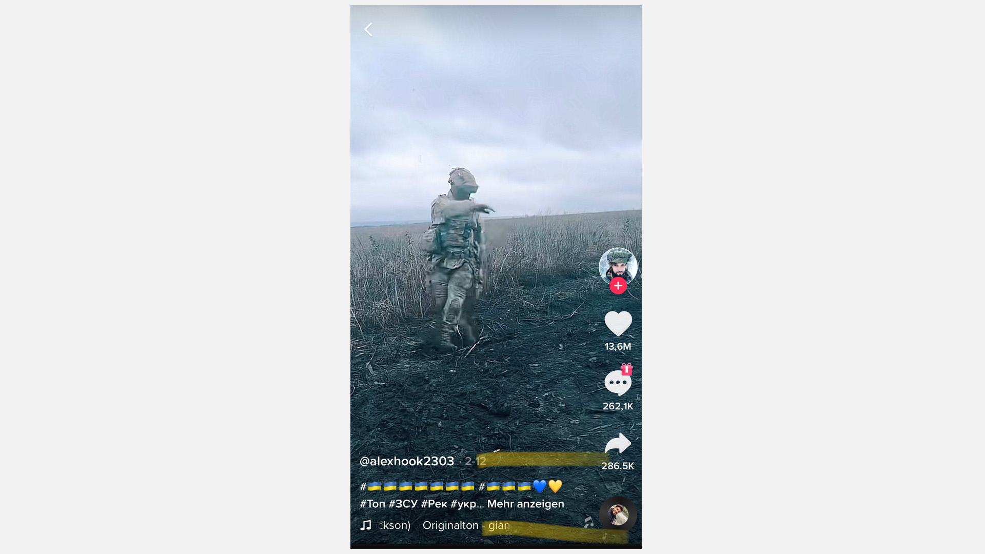 Ein Screenshot von TikTok zeigt einen Soldat auf einem Feld. | alexhook2303, TikTok