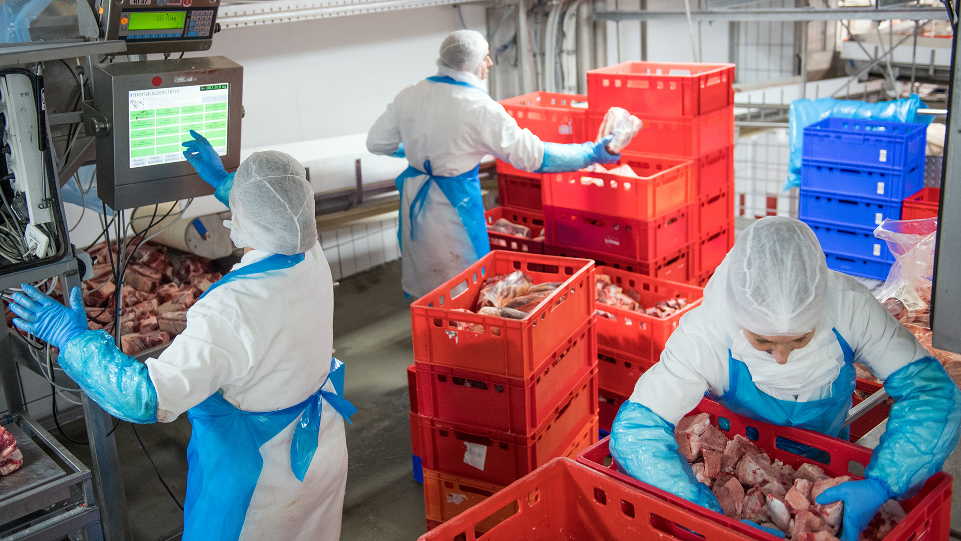 Rindfleisch wird in einem Kühlhaus des Fleischunternehmens Tönnies verpackt. | picture alliance / Bernd Thissen