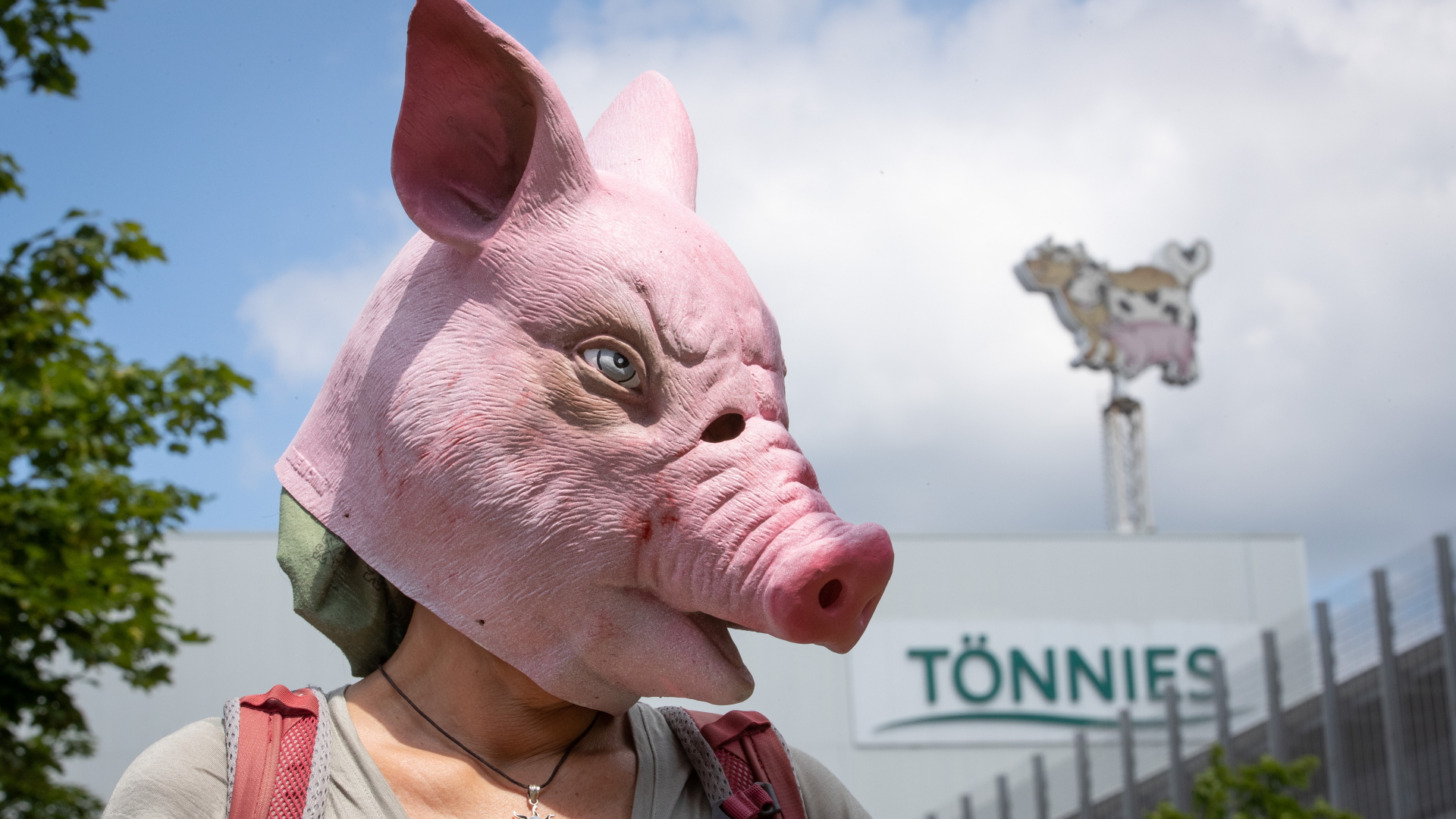 Eine Person trägt während einer Demonstration vor dem Tönnies-Betriebsgelände eine Schweine-Maske. | dpa
