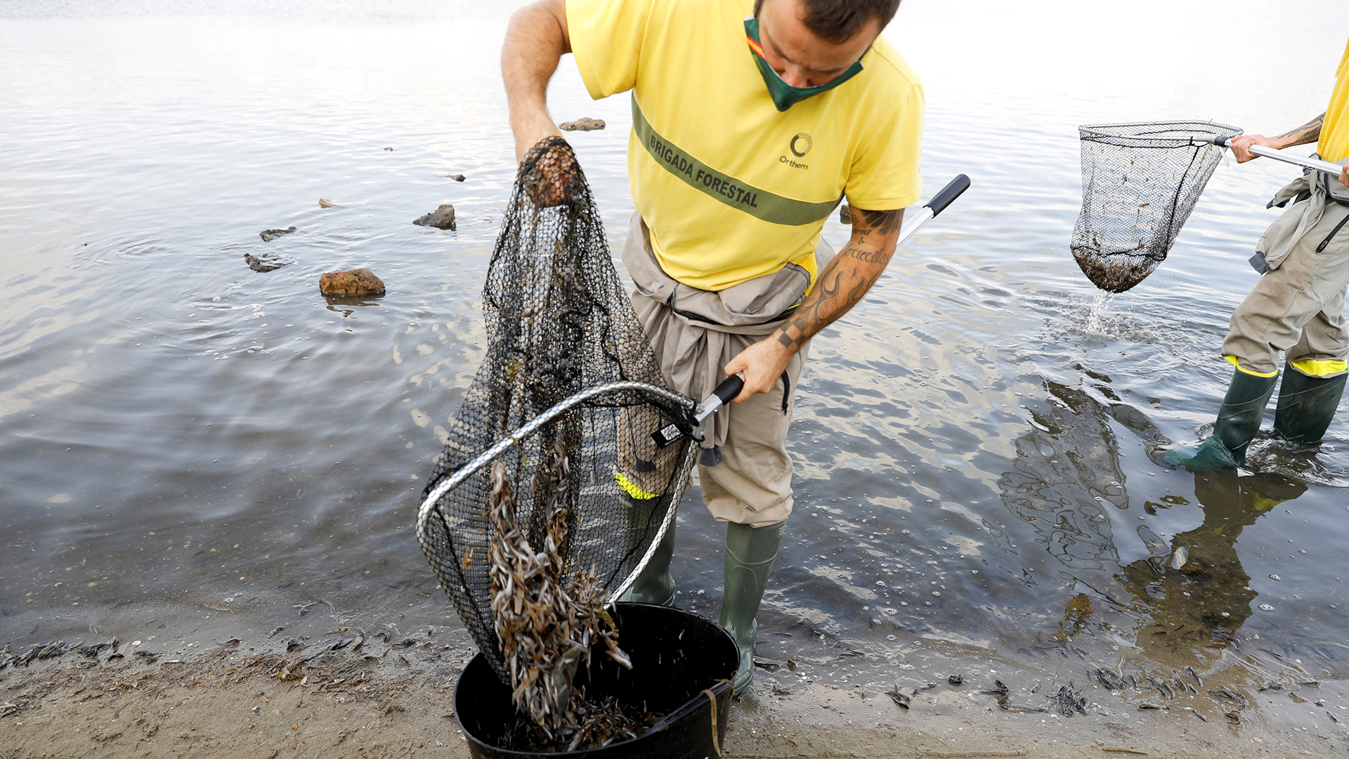 Gemeindearbeiter säubern den Strand von toten Fischen, La Manga del Mar Menor/Spanien. | REUTERS
