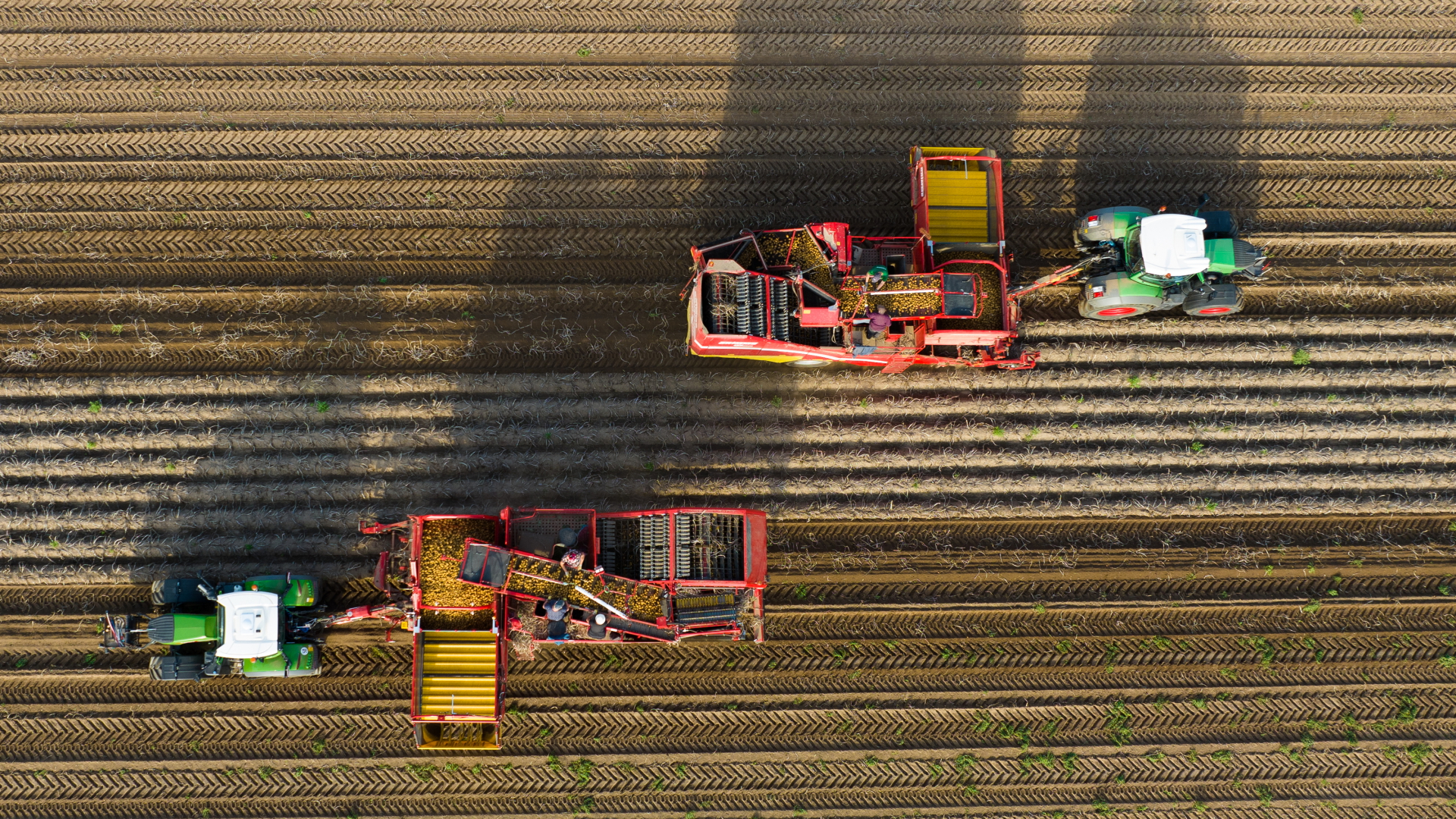 Traktoren auf einem Feld aus der Vogelperspektive | dpa