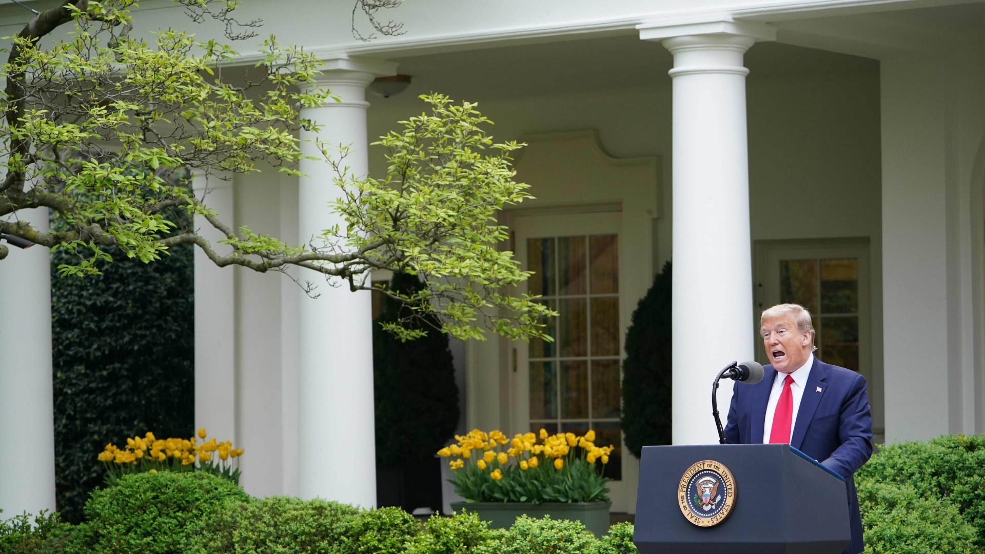 US-Präsident Trump im Rosengarten des Weißen Hauses. | AFP