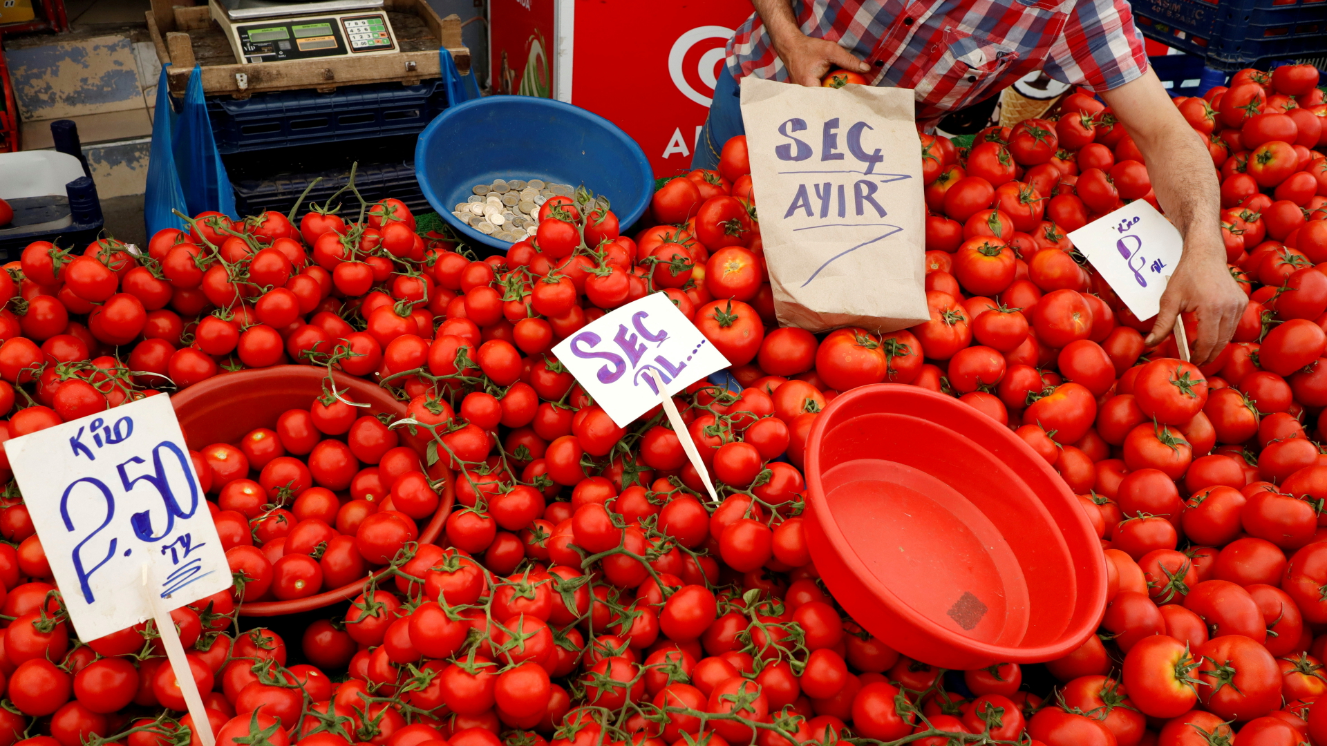 Tomaten werden auf einem Basar in Istanbul ausgestellt.  | REUTERS
