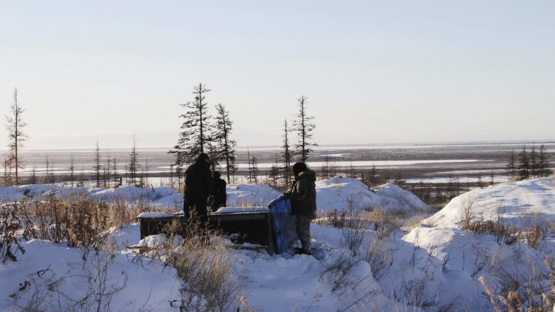 Erreger aus Permafrost: Wie gefährlich sind “Zombieviren”